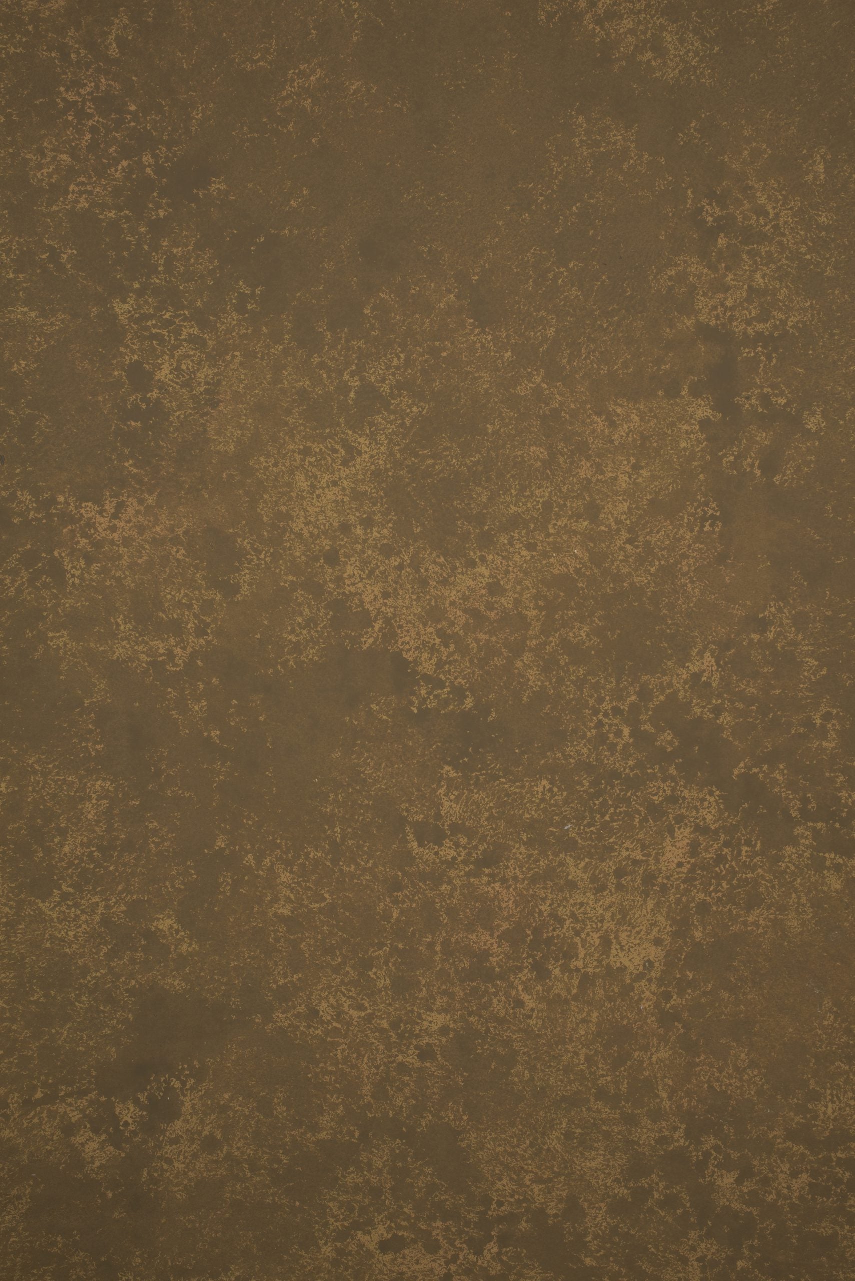 12674 Brown Strong Text XS