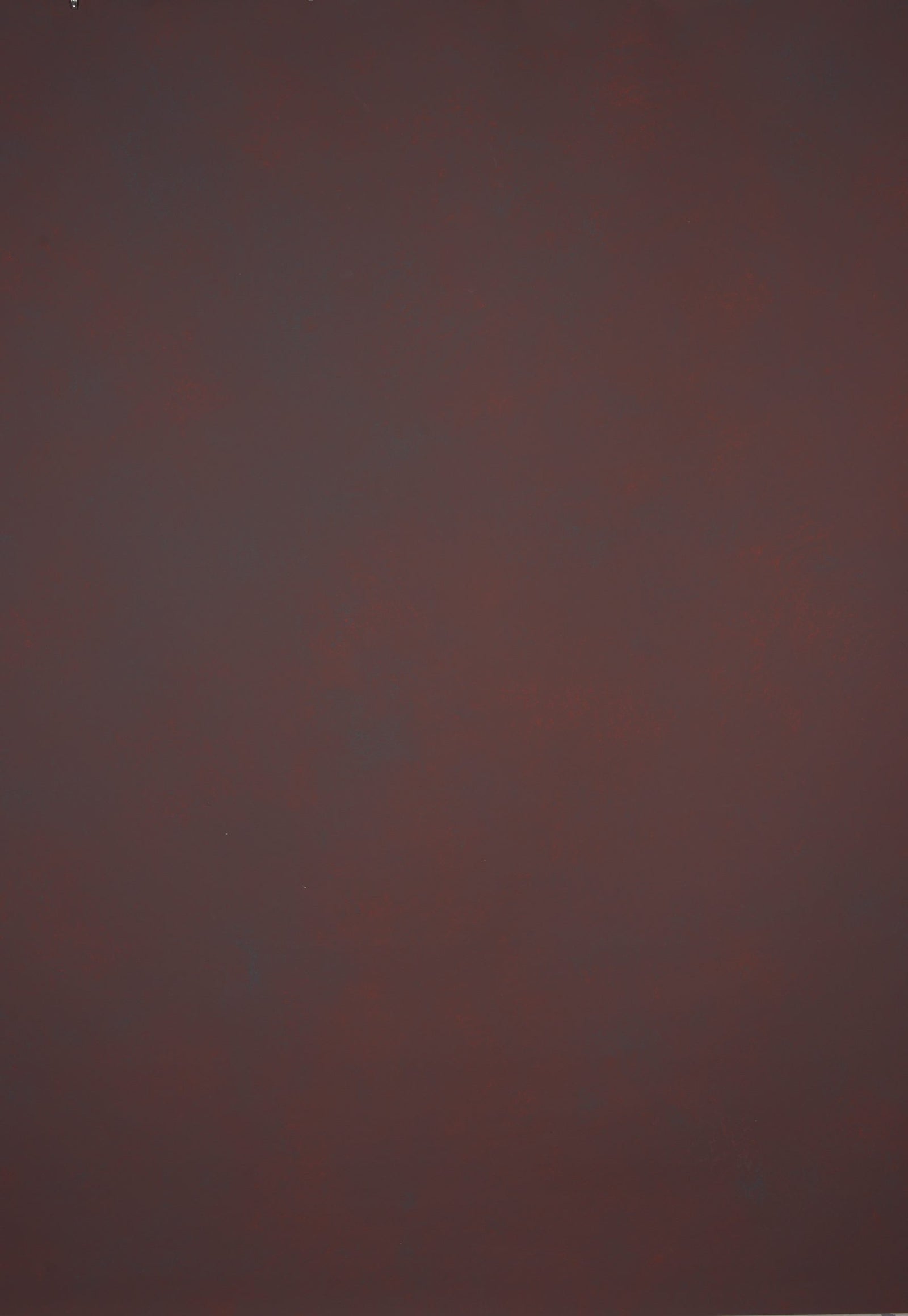 1269 Red Low Text L+