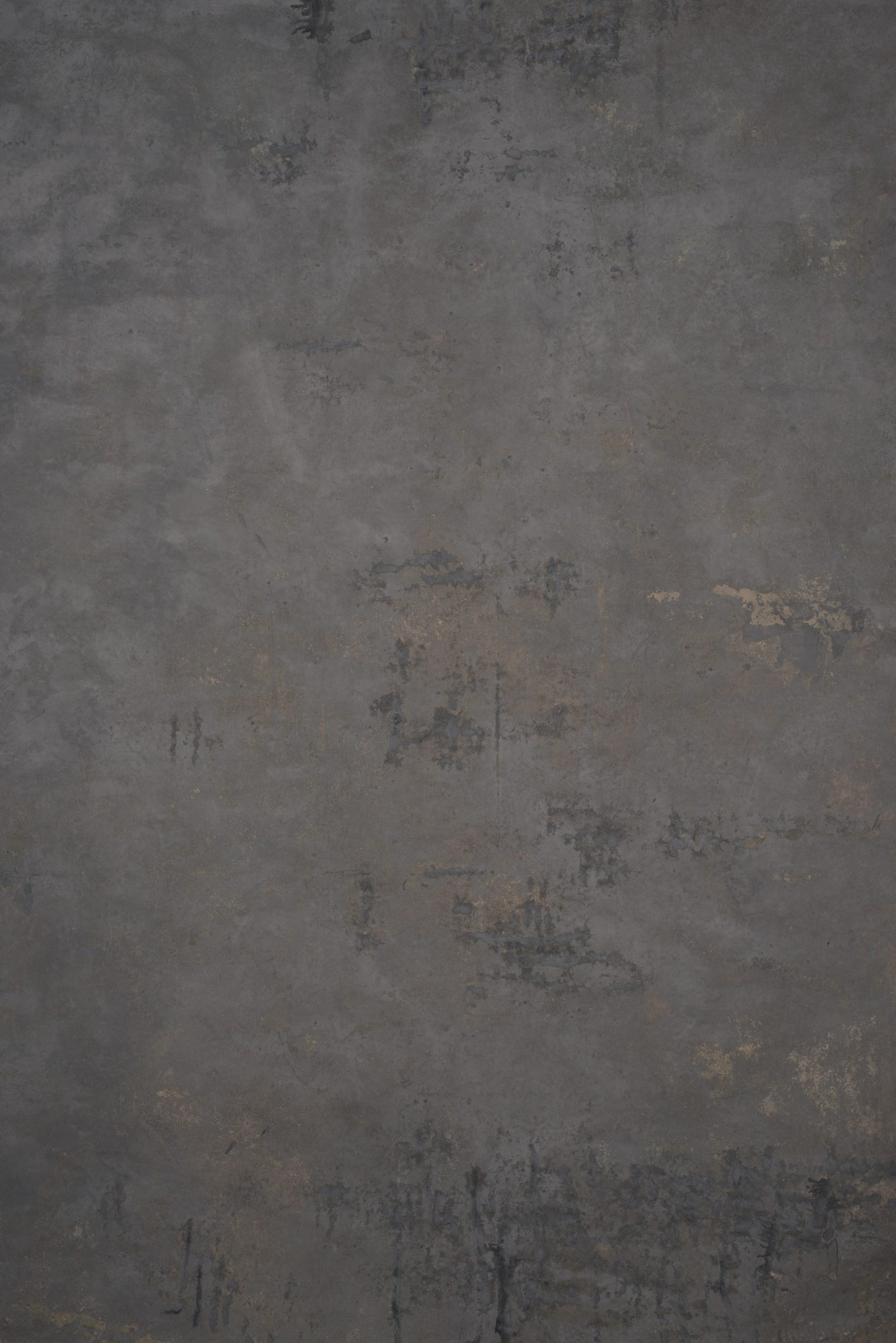 12696 Grey Strong Text L