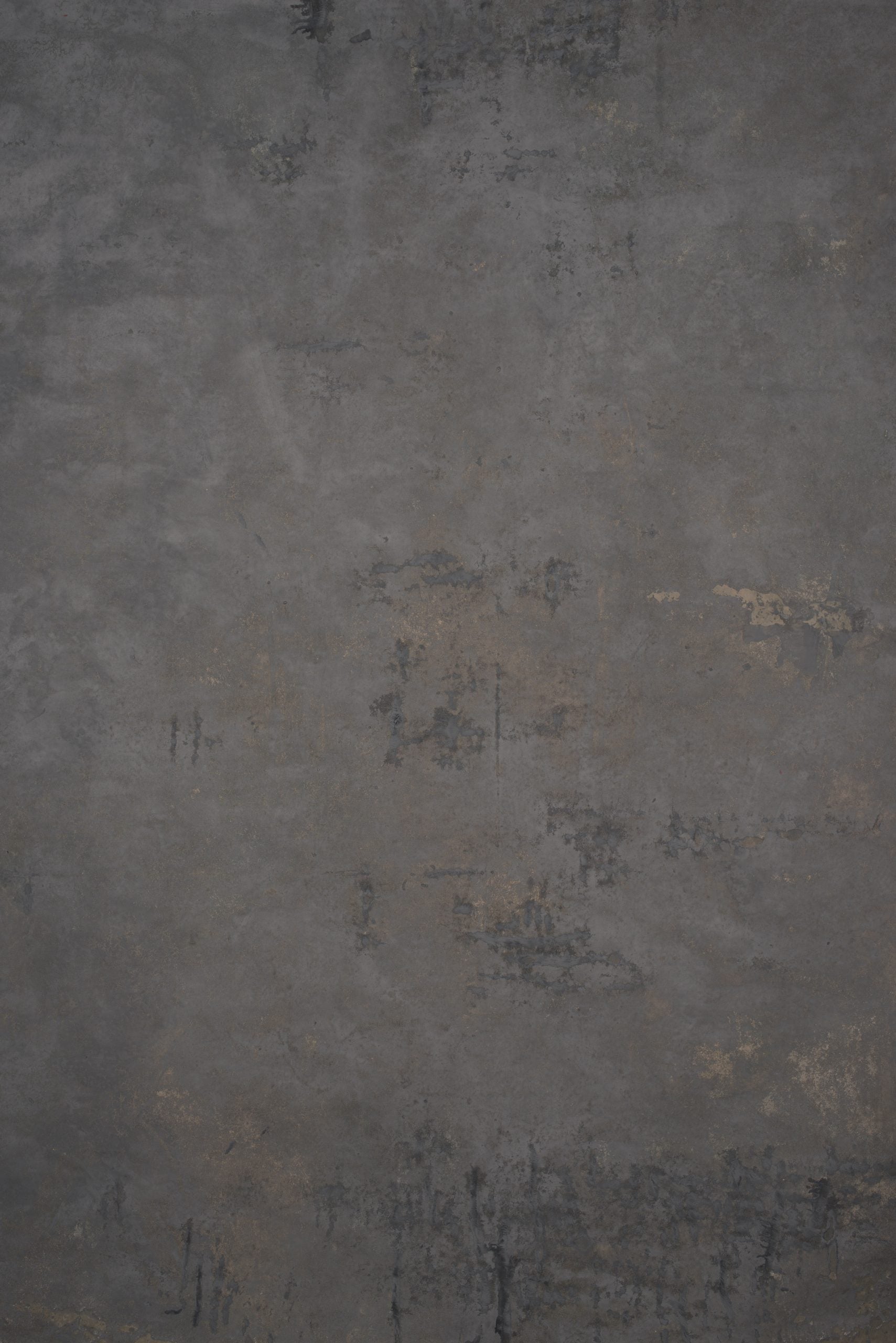 12696 Grey Strong Text L