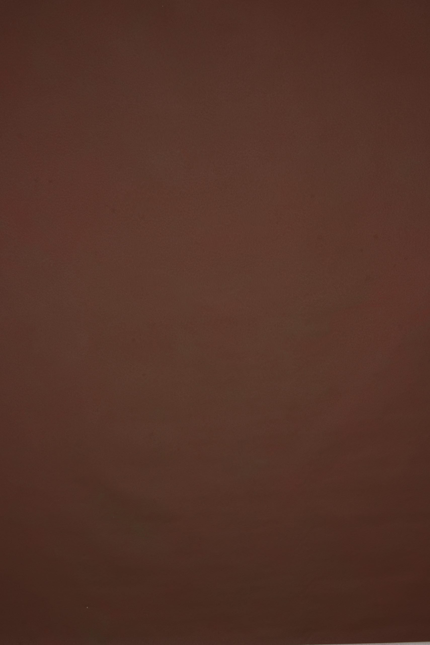 1270 Red Low Text L+
