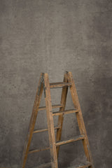 12728 Warm Grey Strong Text L