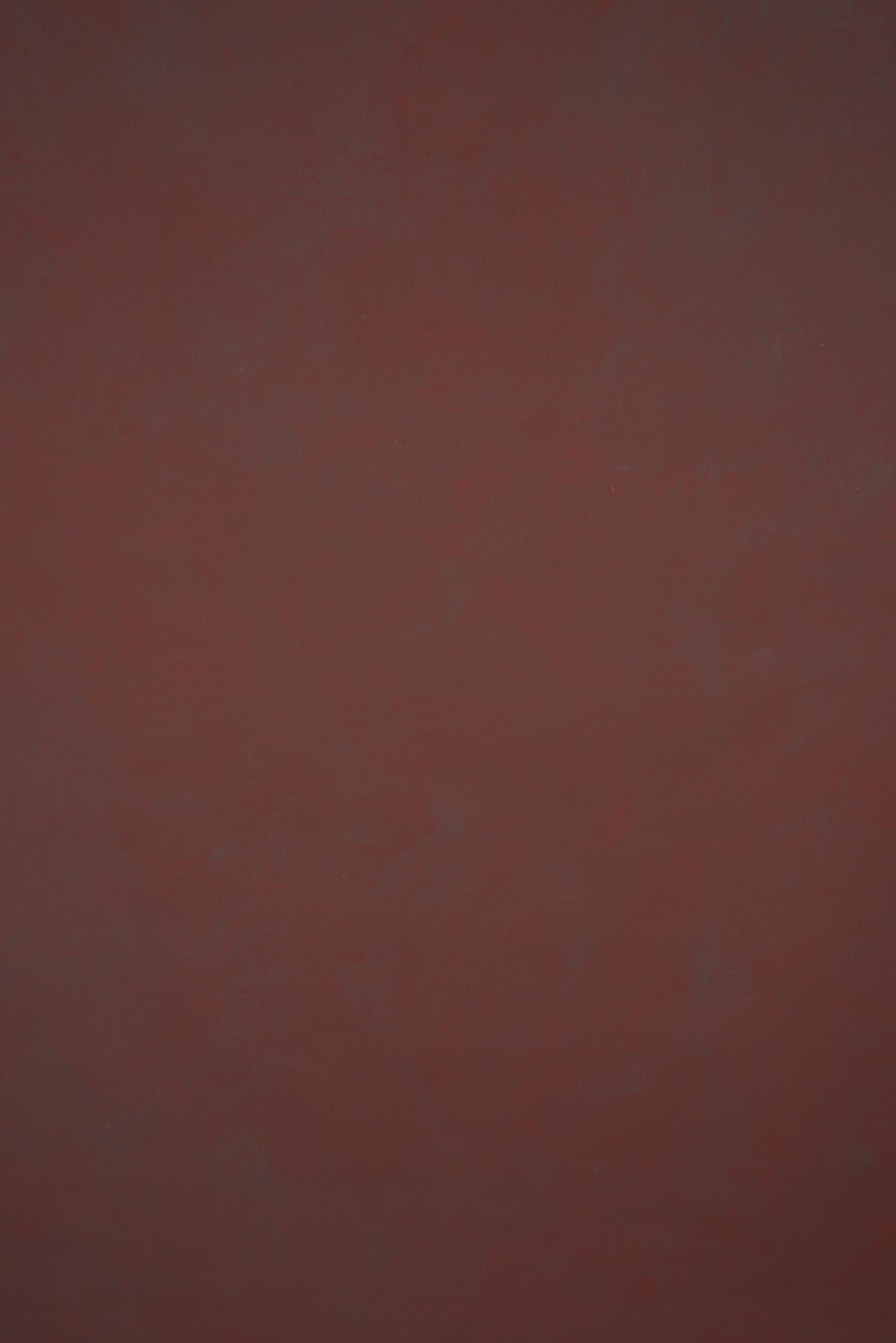 1273 Red Low Text L+
