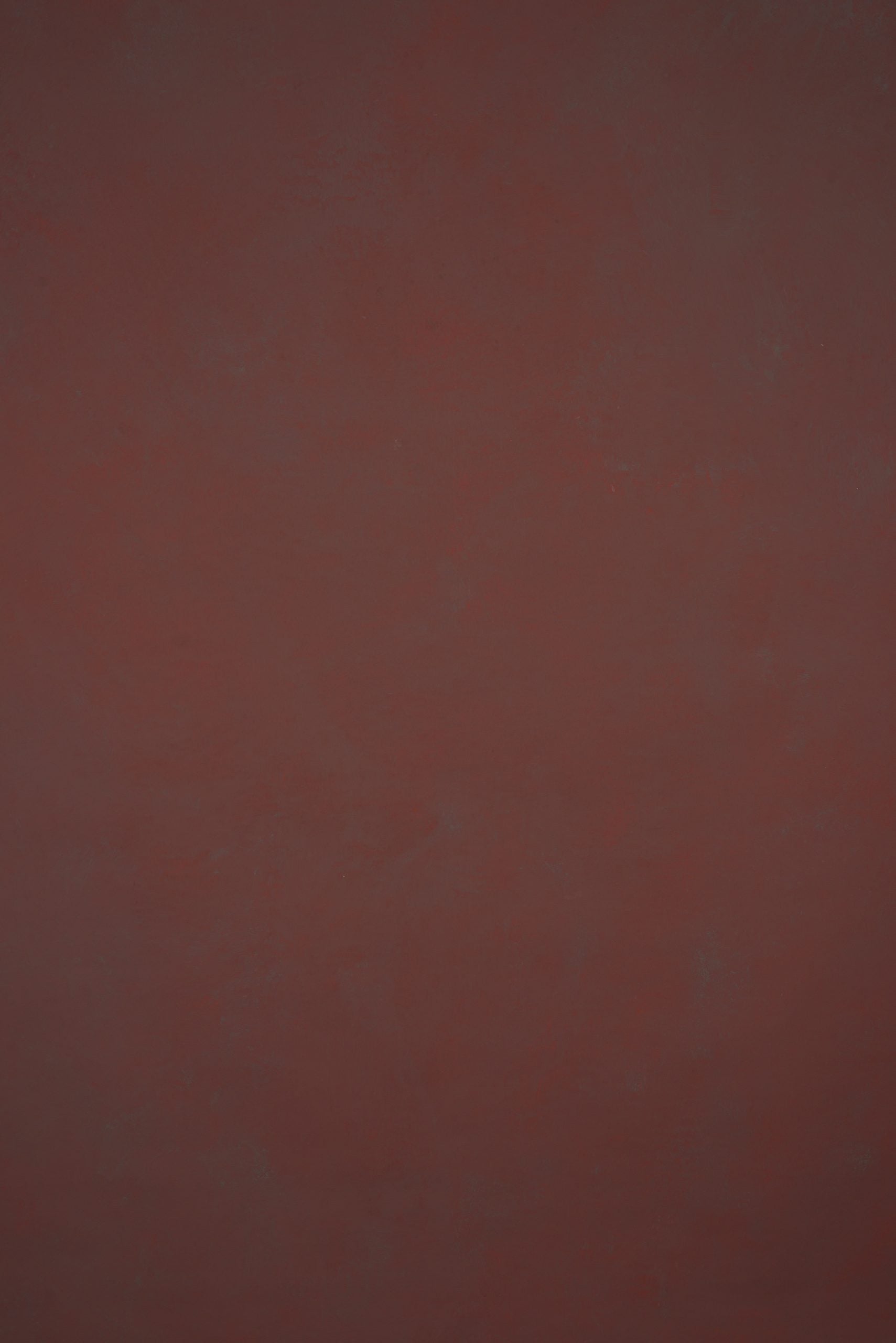 1273 Red Low Text L+