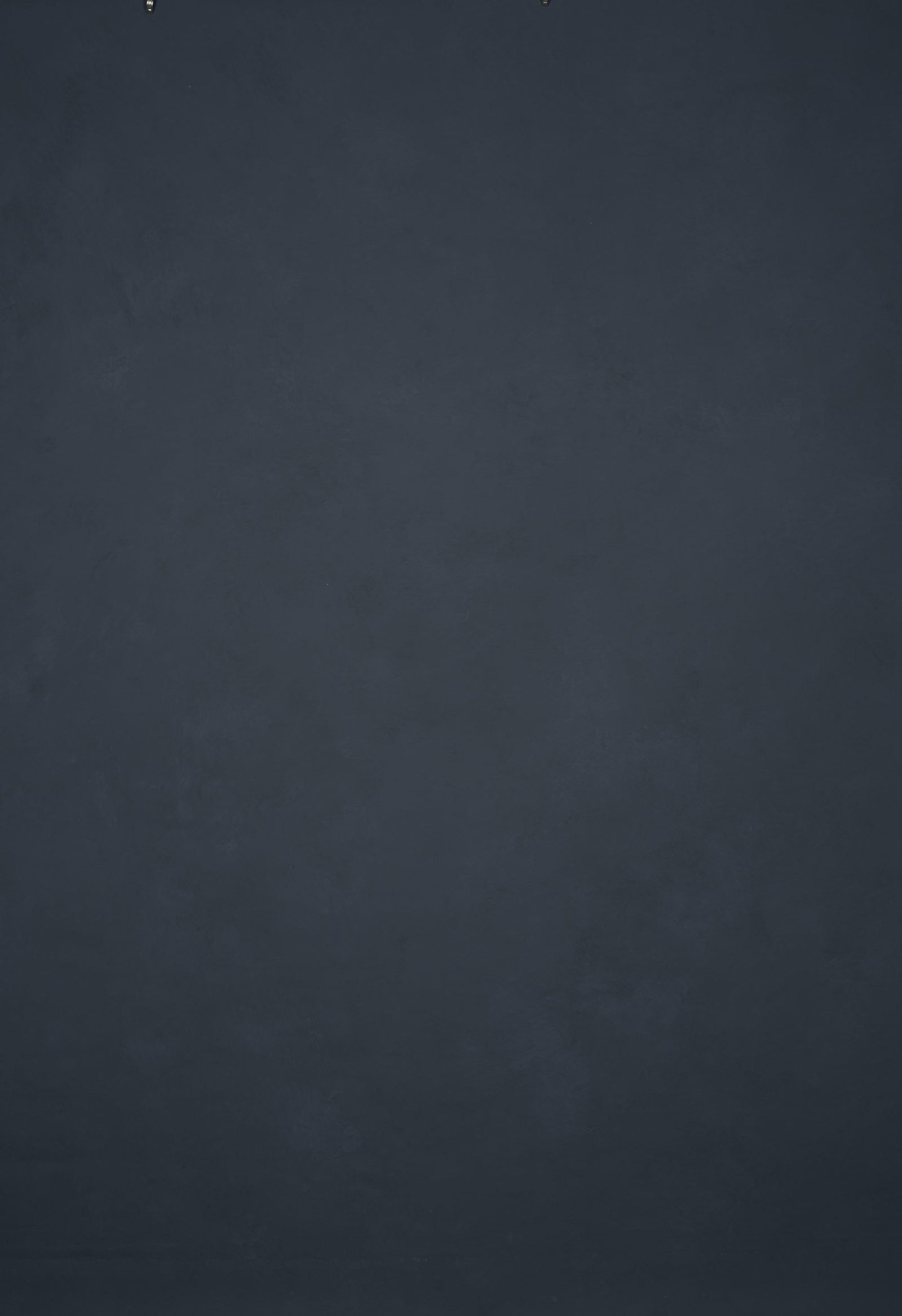 12731 Cold Grey Low Text L