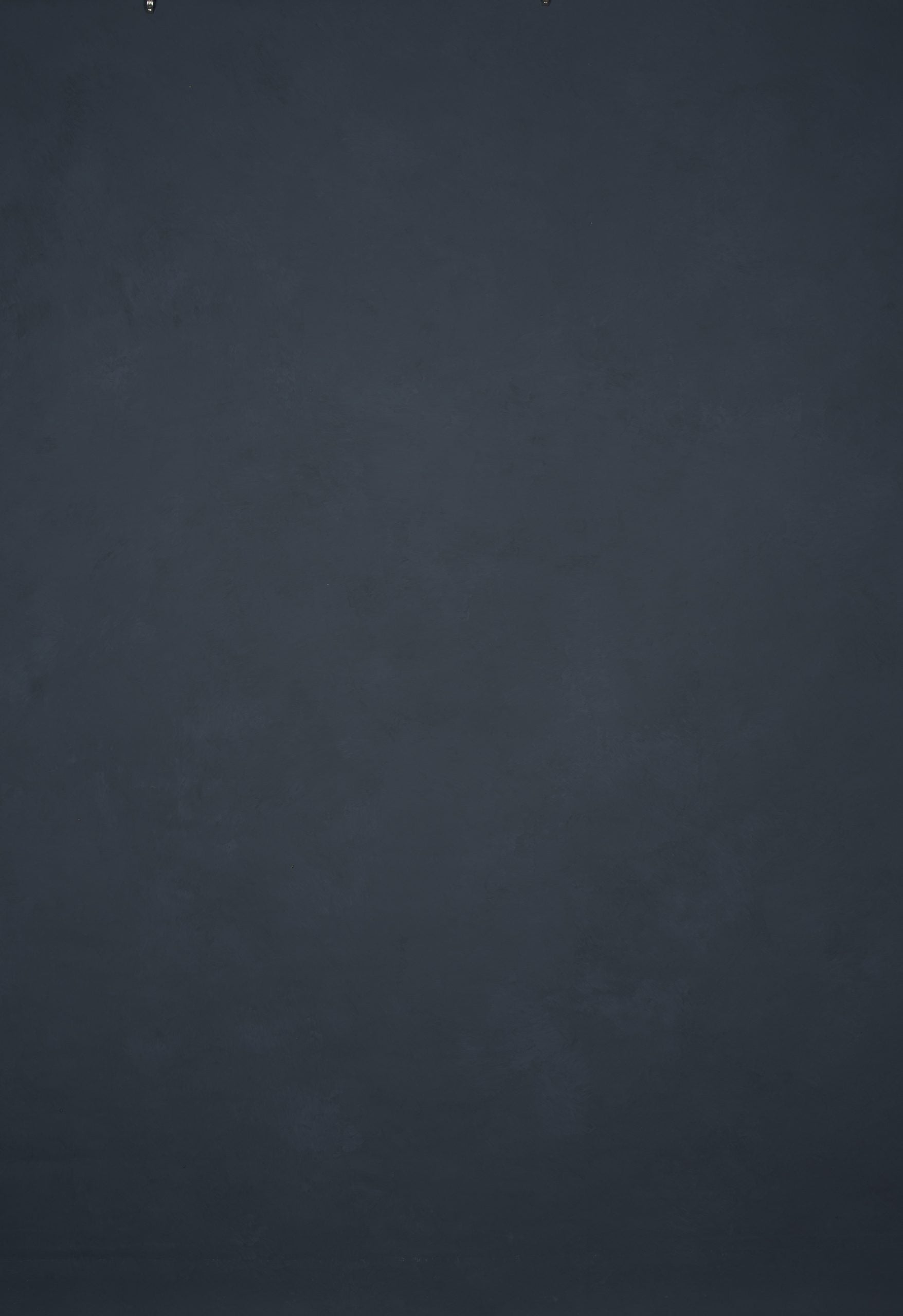 12731 Cold Grey Low Text L