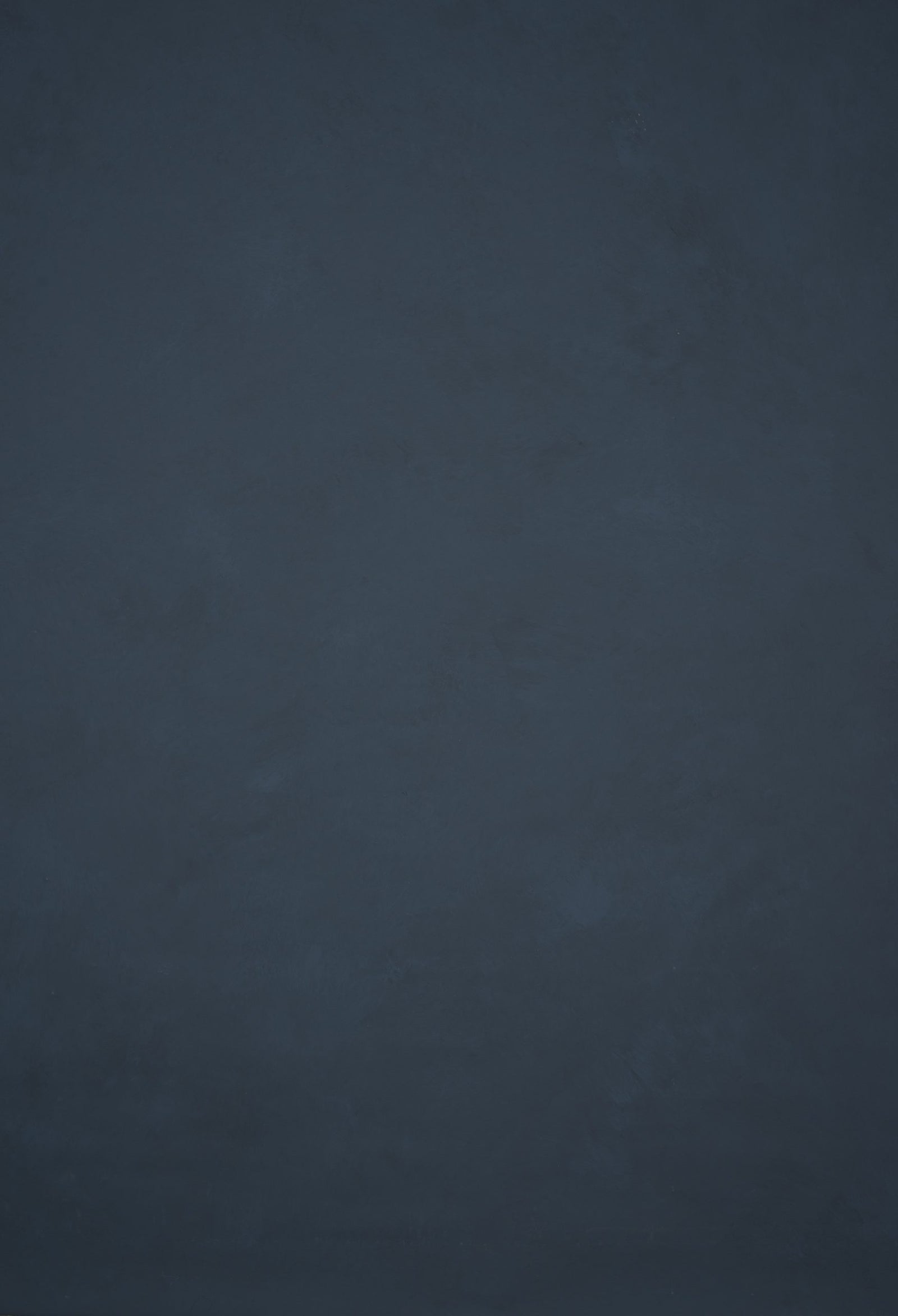 12733 Cold Grey Mid Text L