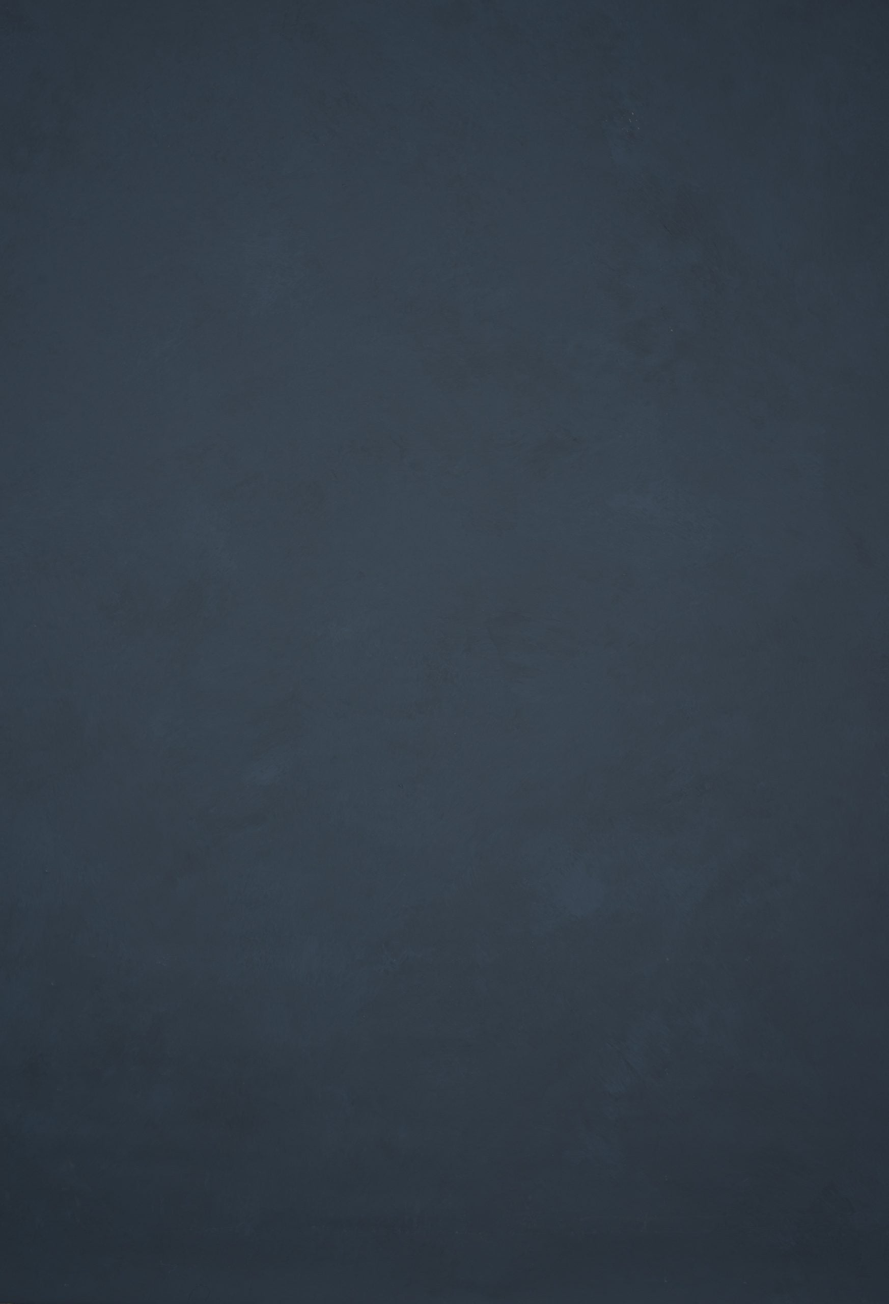 12733 Cold Grey Mid Text L
