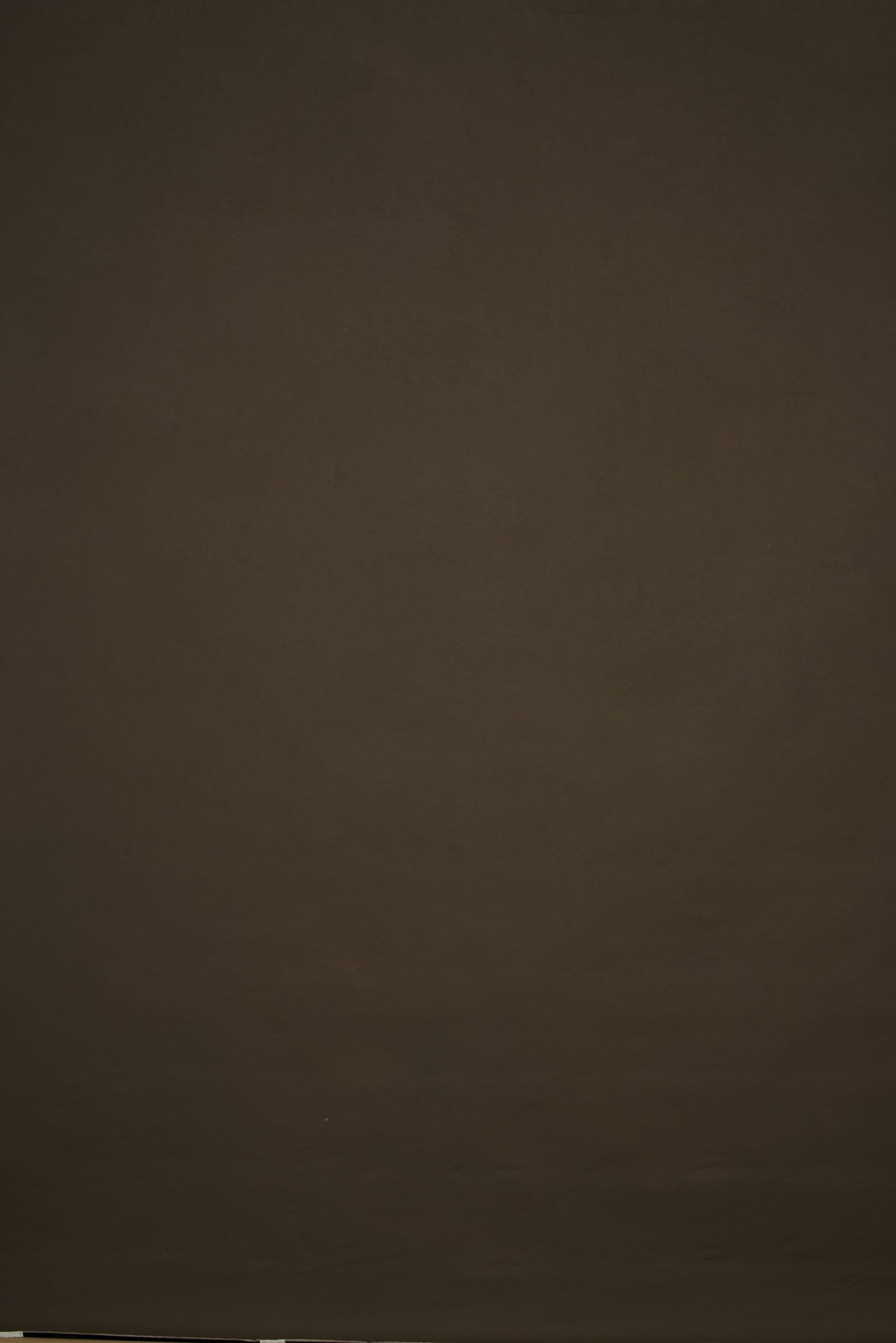 12741 Brown Low Text L