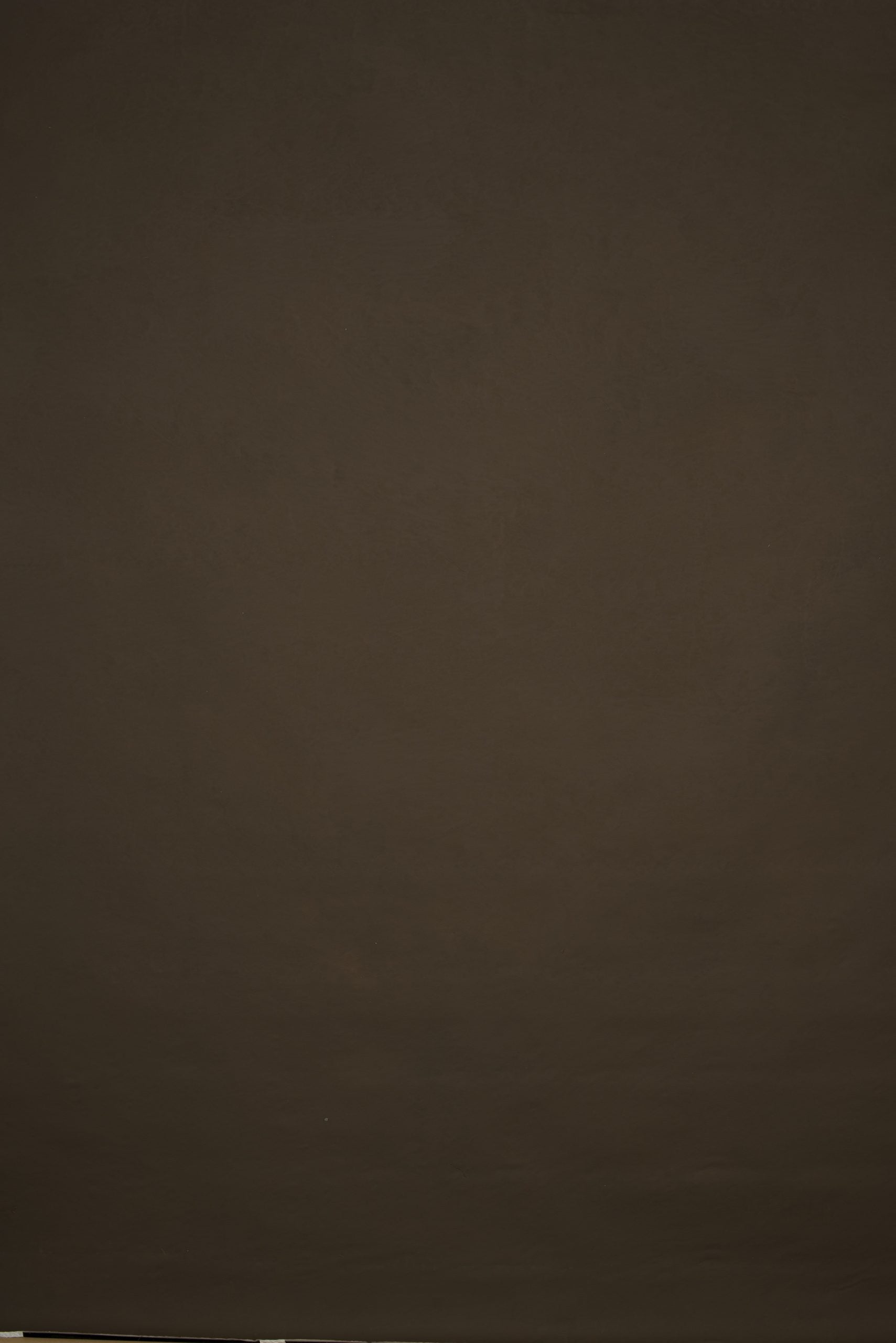 12741 Brown Low Text L