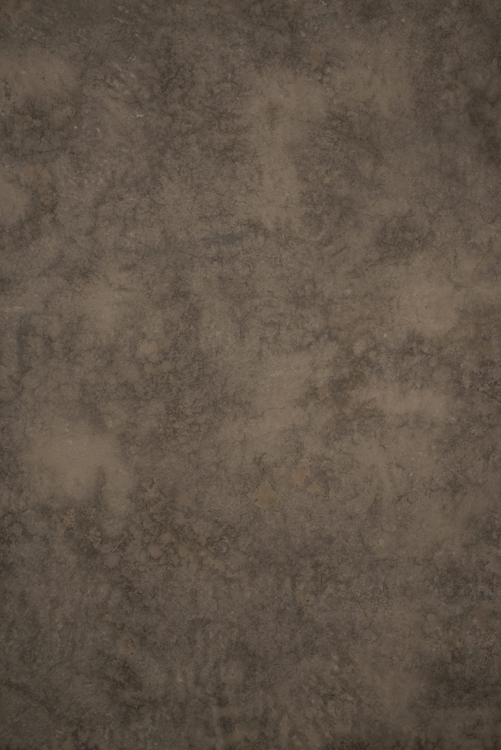 12746 Brown Mid Text L