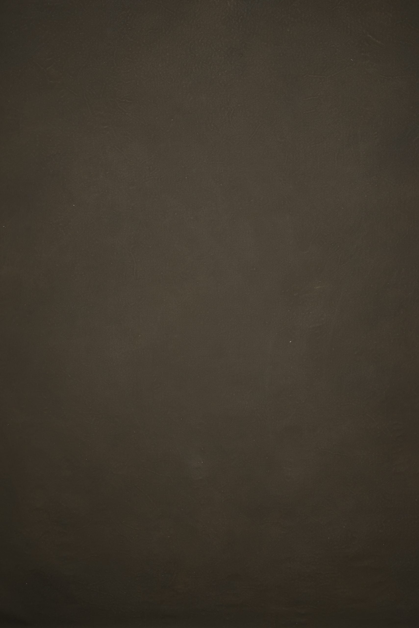 12757 Brown Distressed Text L