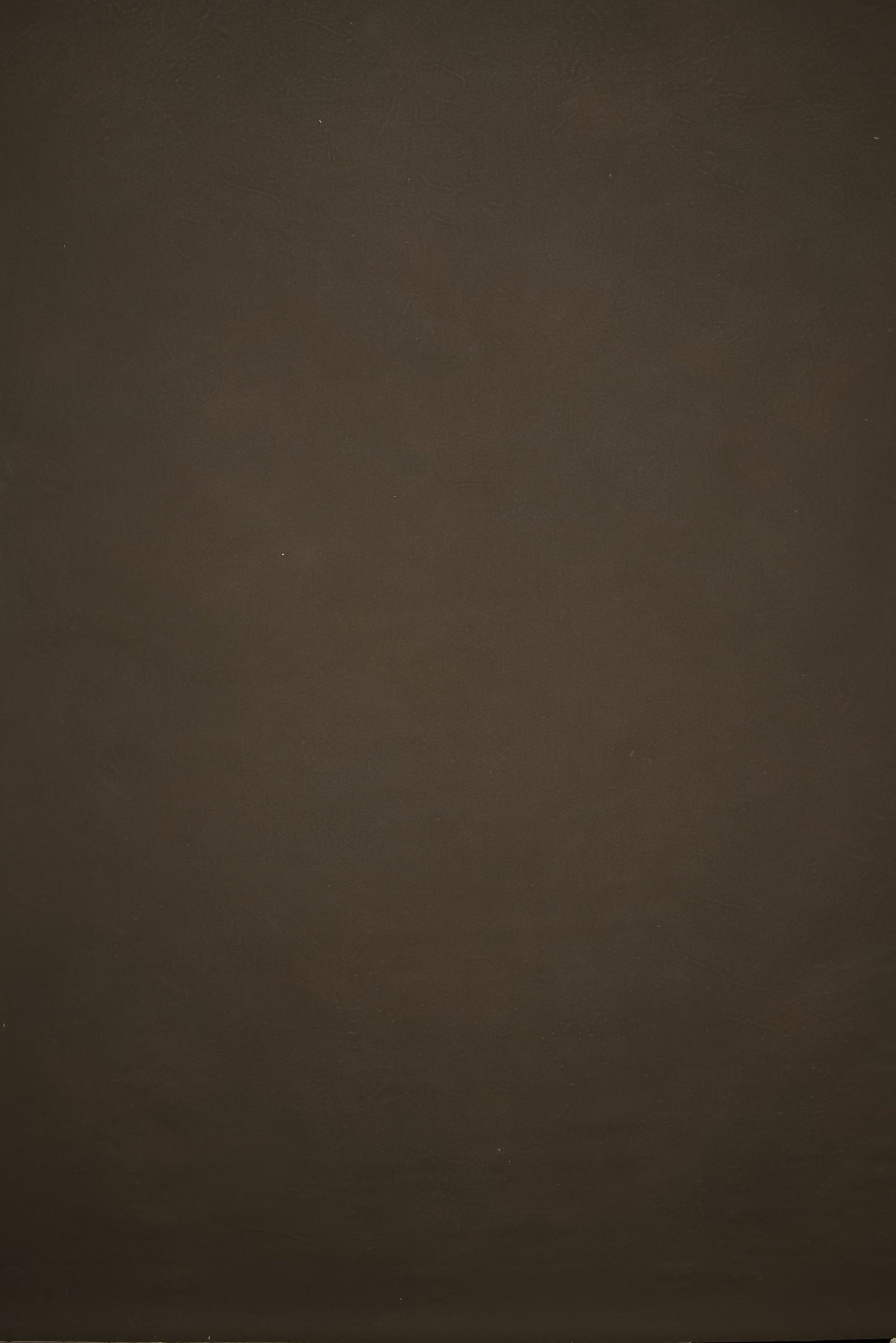 12758 Brown Distressed Text L