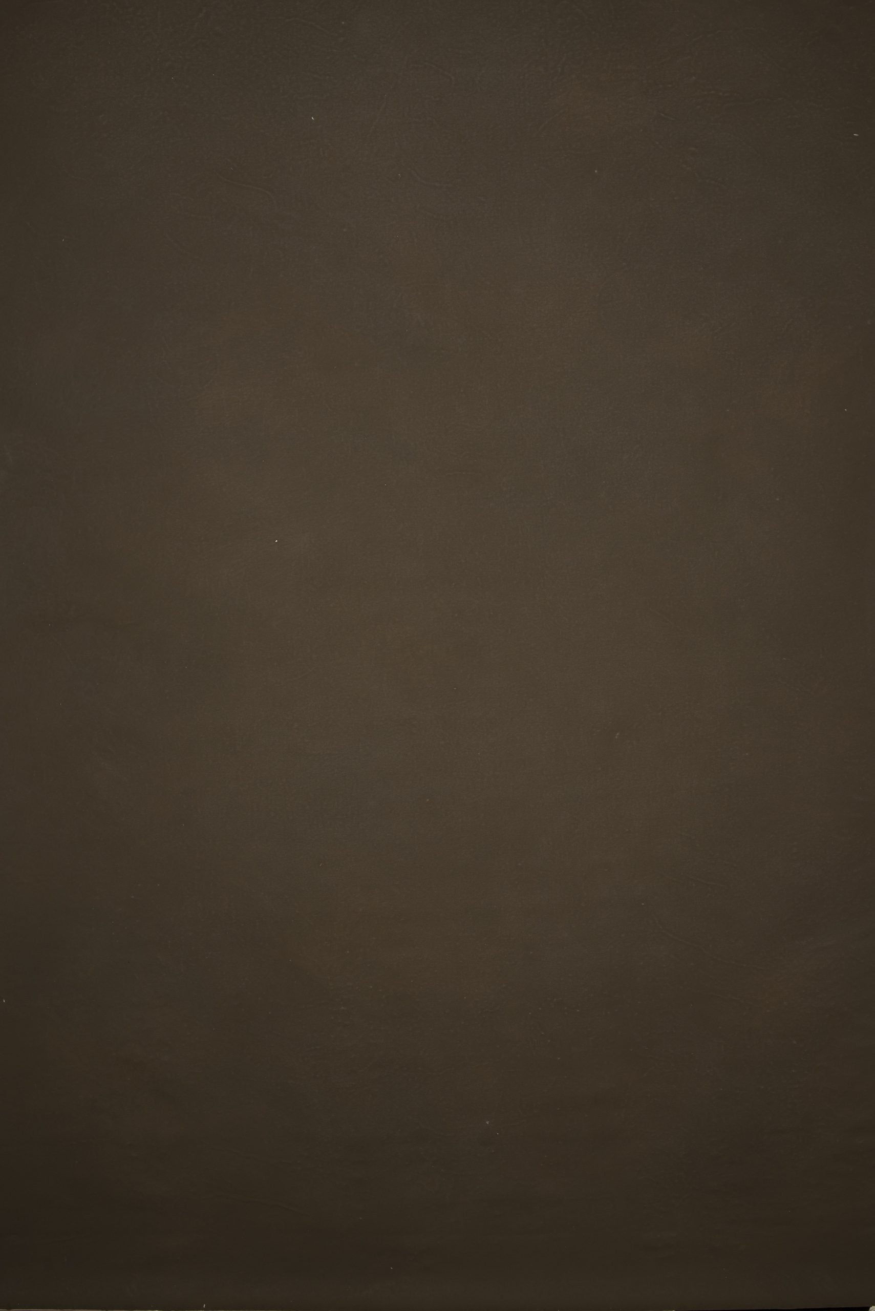 12758 Brown Distressed Text L