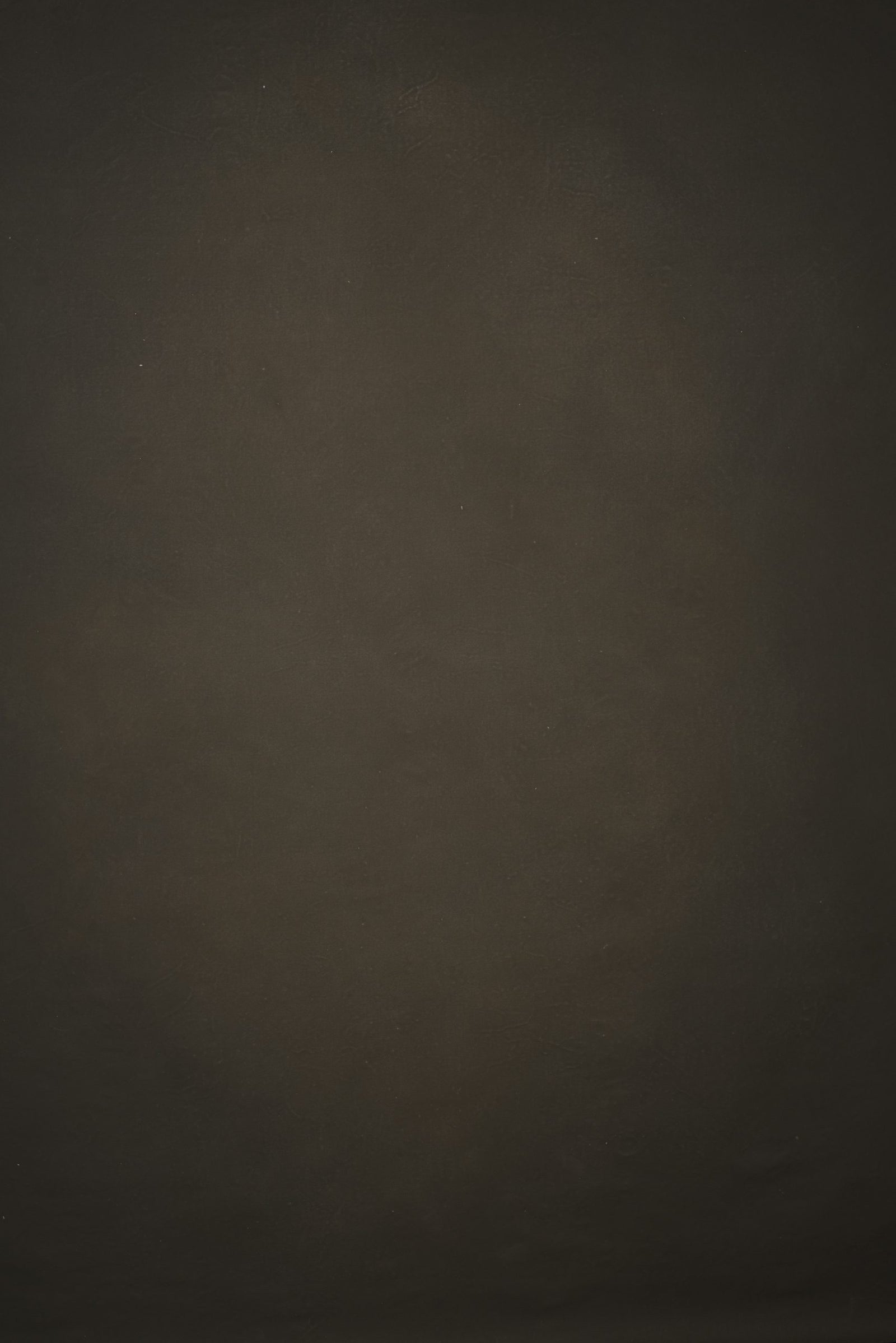 12759 Brown Distressed Text L
