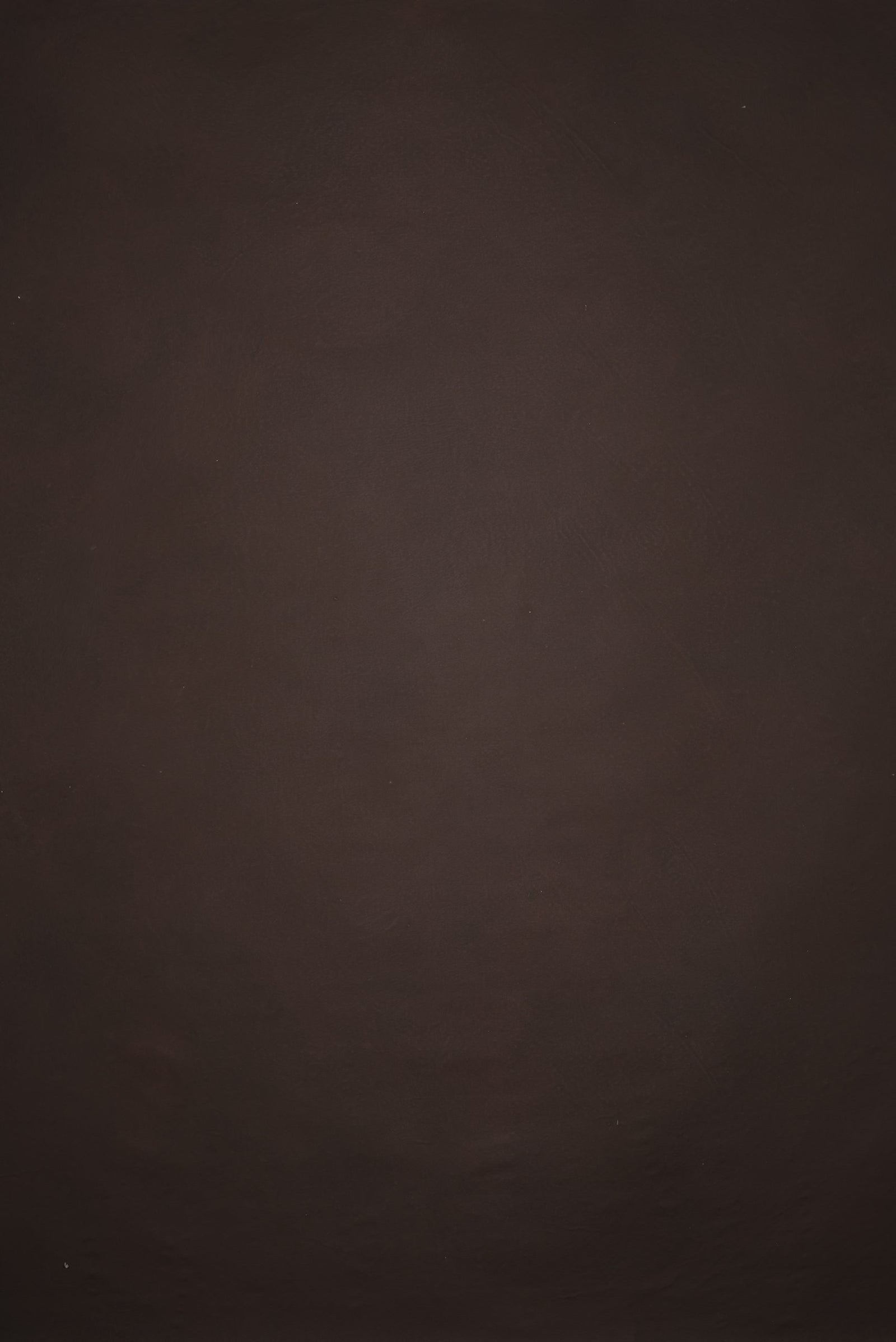 12761 Brown Distressed Text L