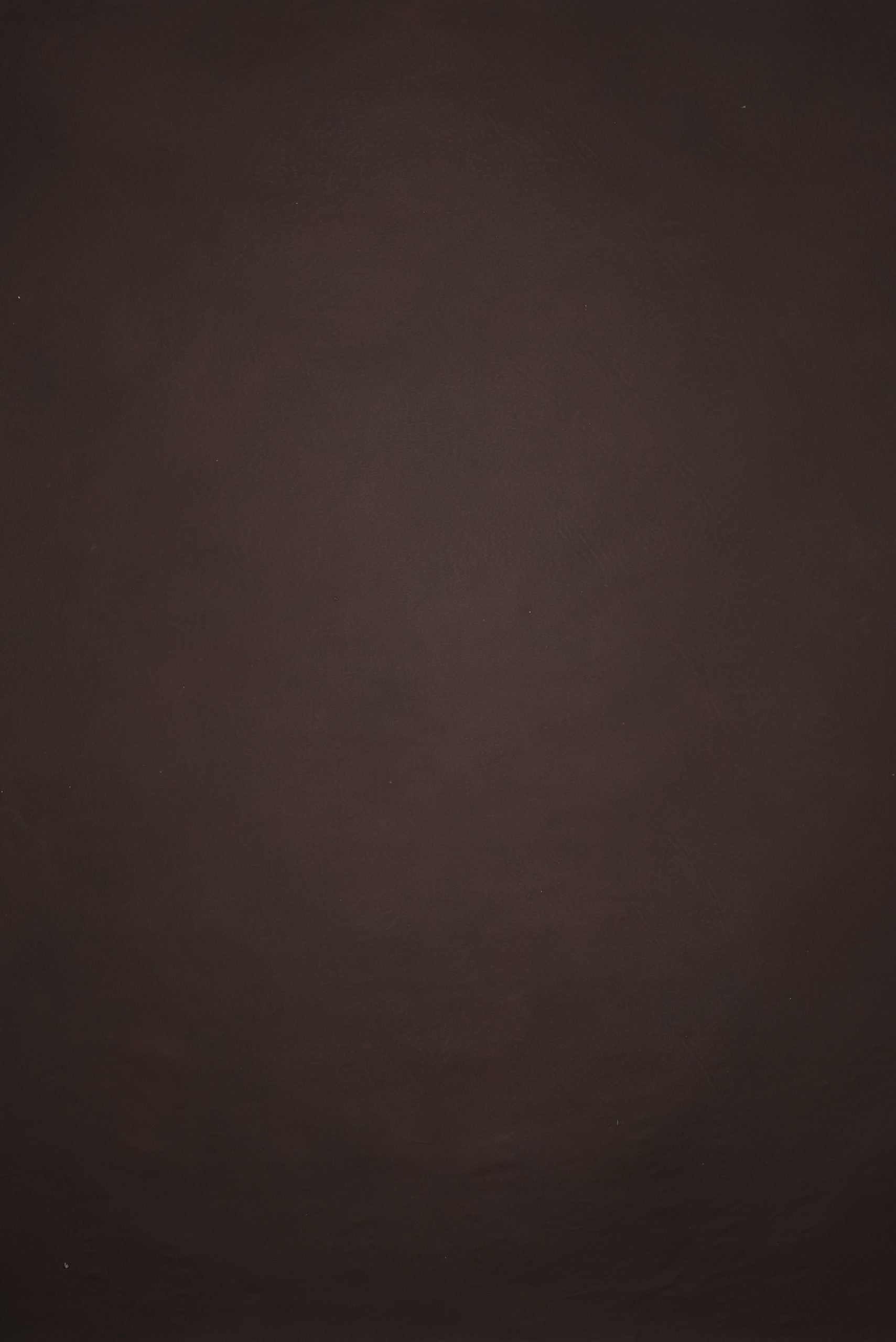 12761 Brown Distressed Text L