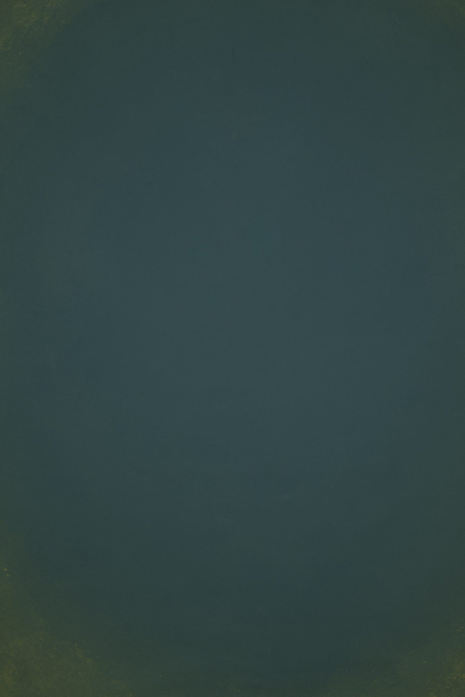 12773 Green Low Text L