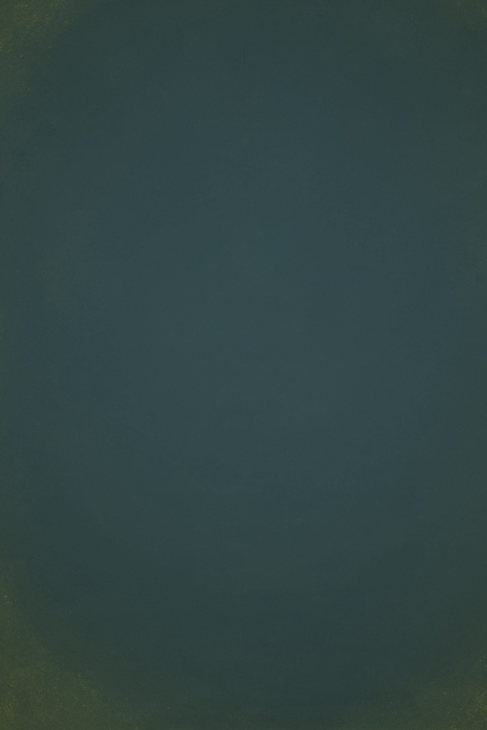 12773 Green Low Text L