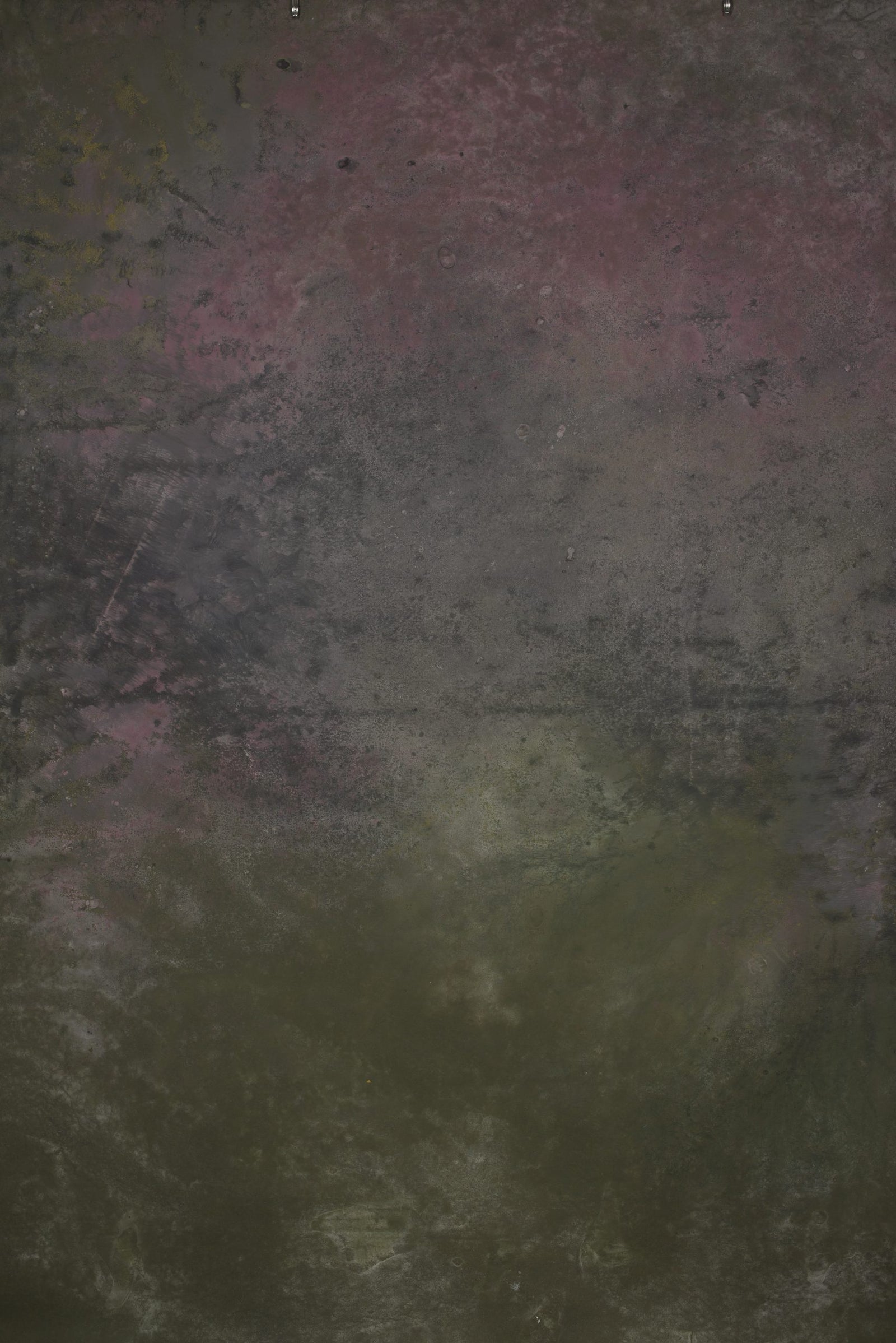 12785 Green Pink Strong Text L