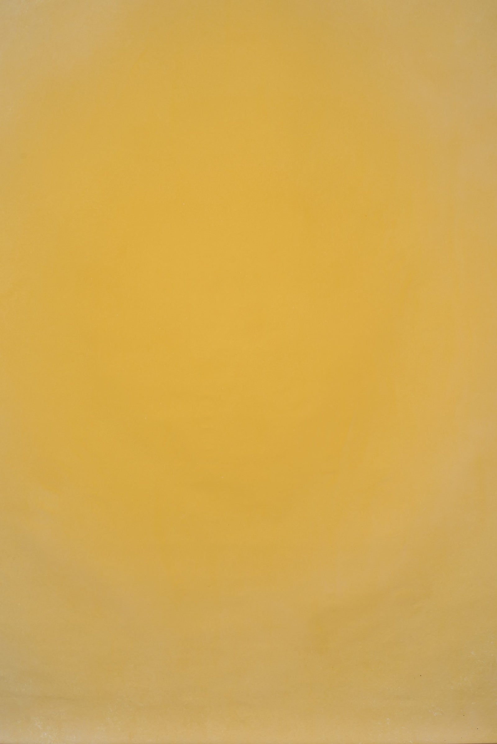12797 Ochre Low Text L