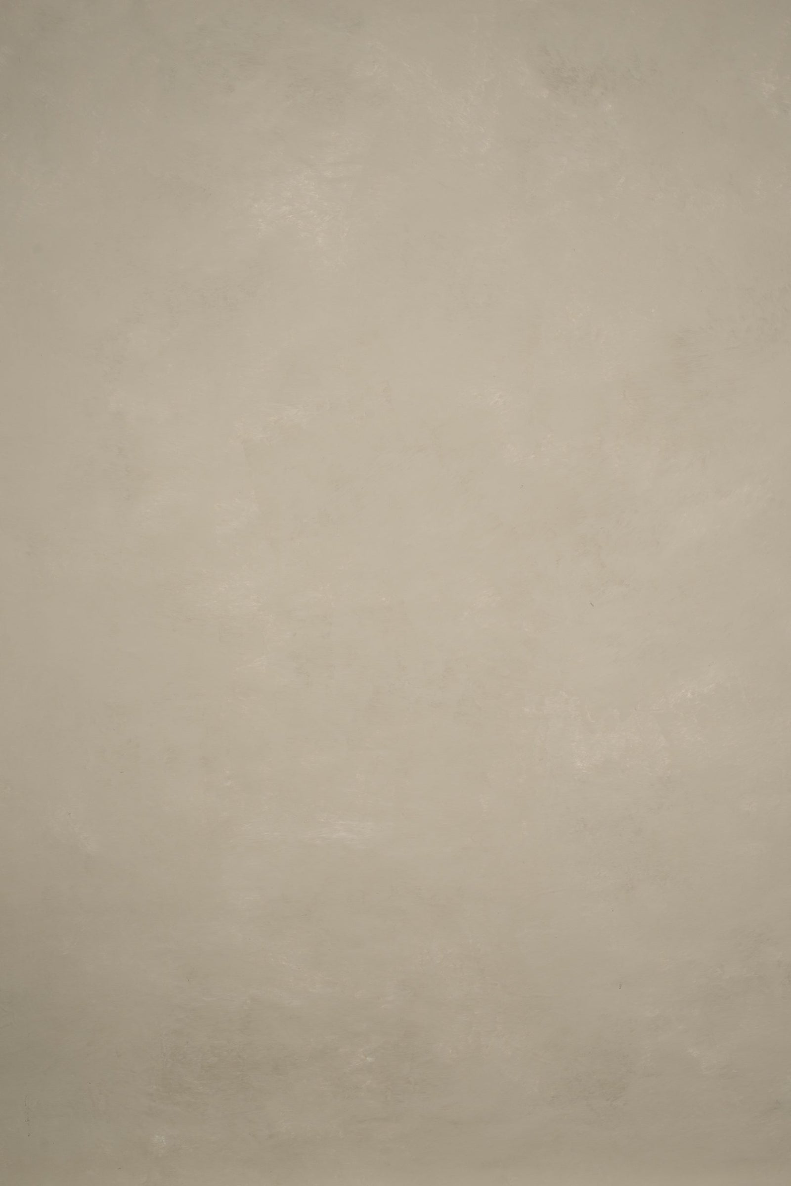 12805 Beige Low Text L