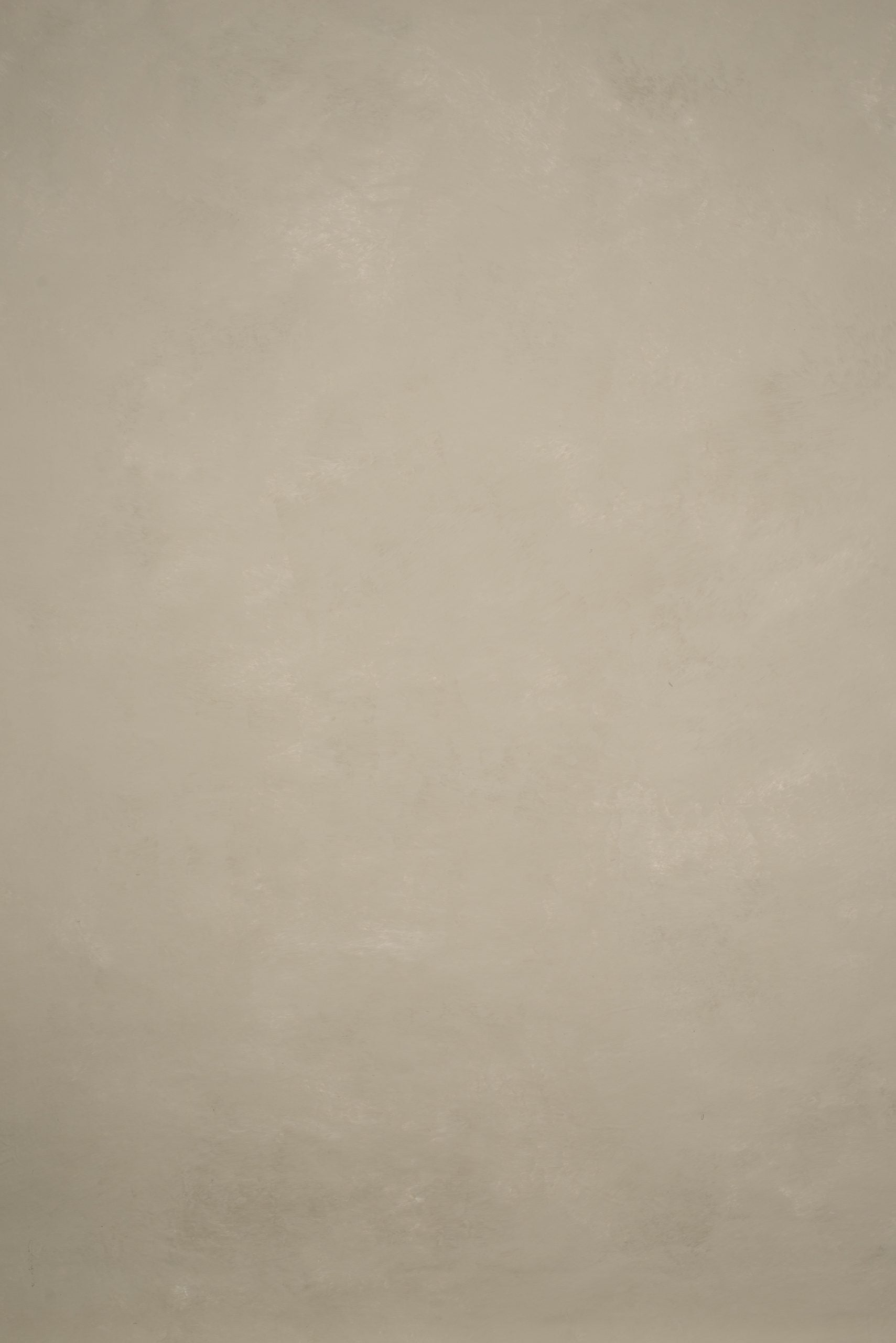 12805 Beige Low Text L