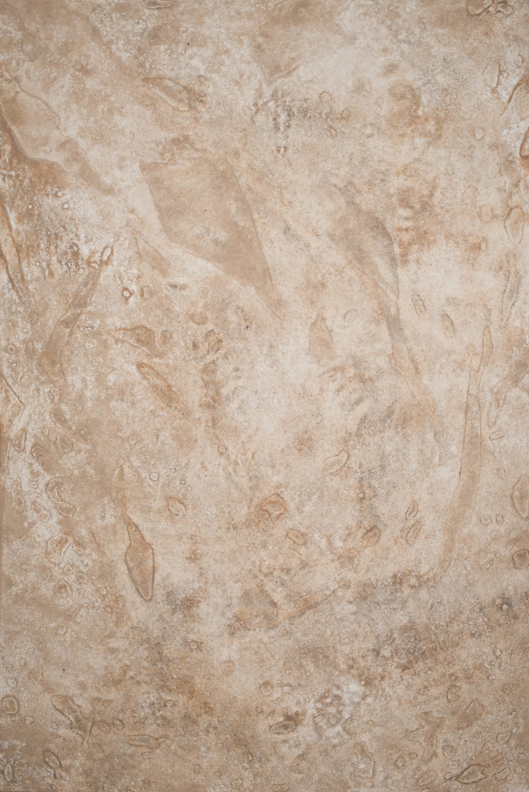 12808 Beige Strong Text L