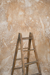 12809 Beige Brown Strong Text L