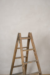 12817 Light Beige Low Text L