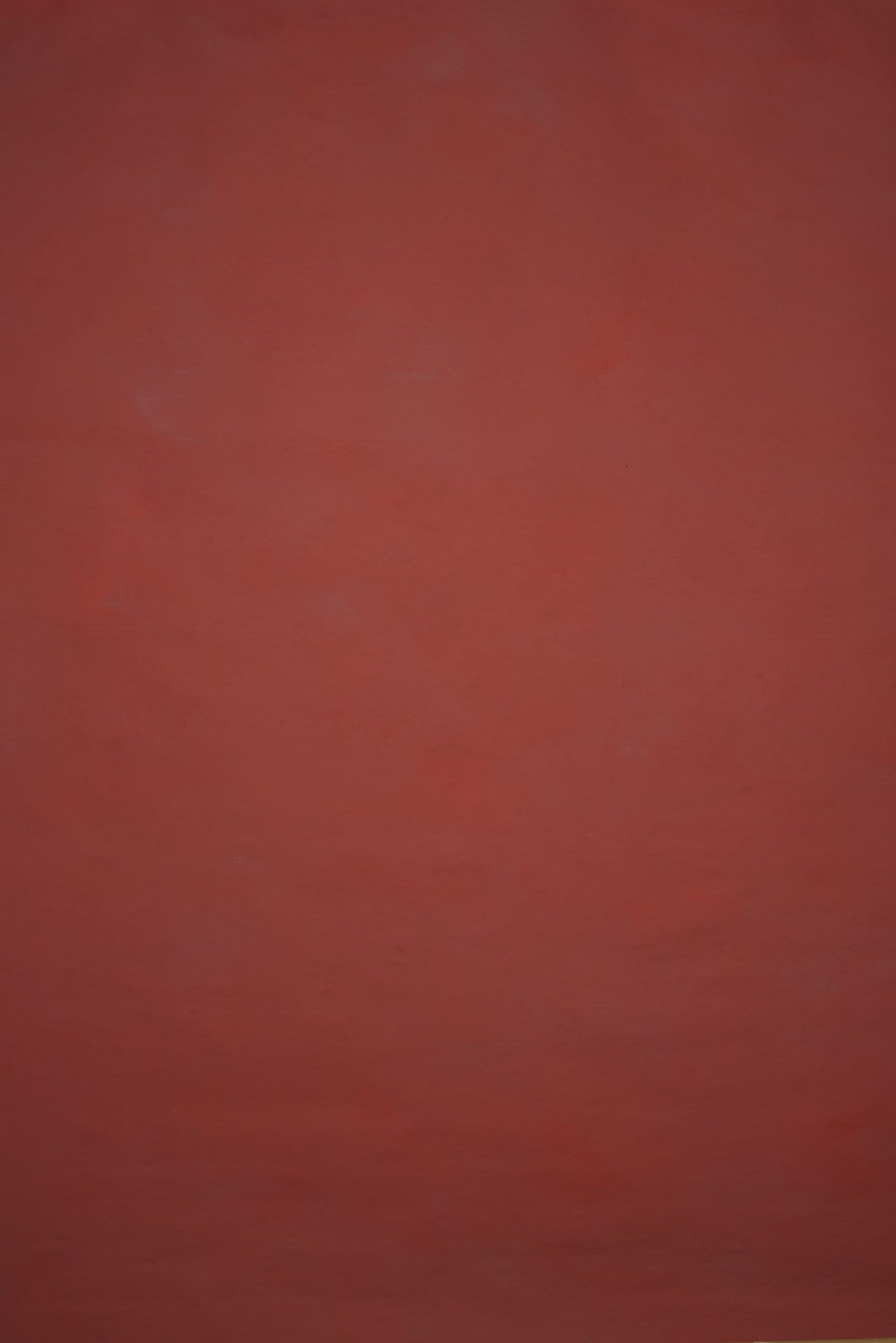 12819 Red Low Text L