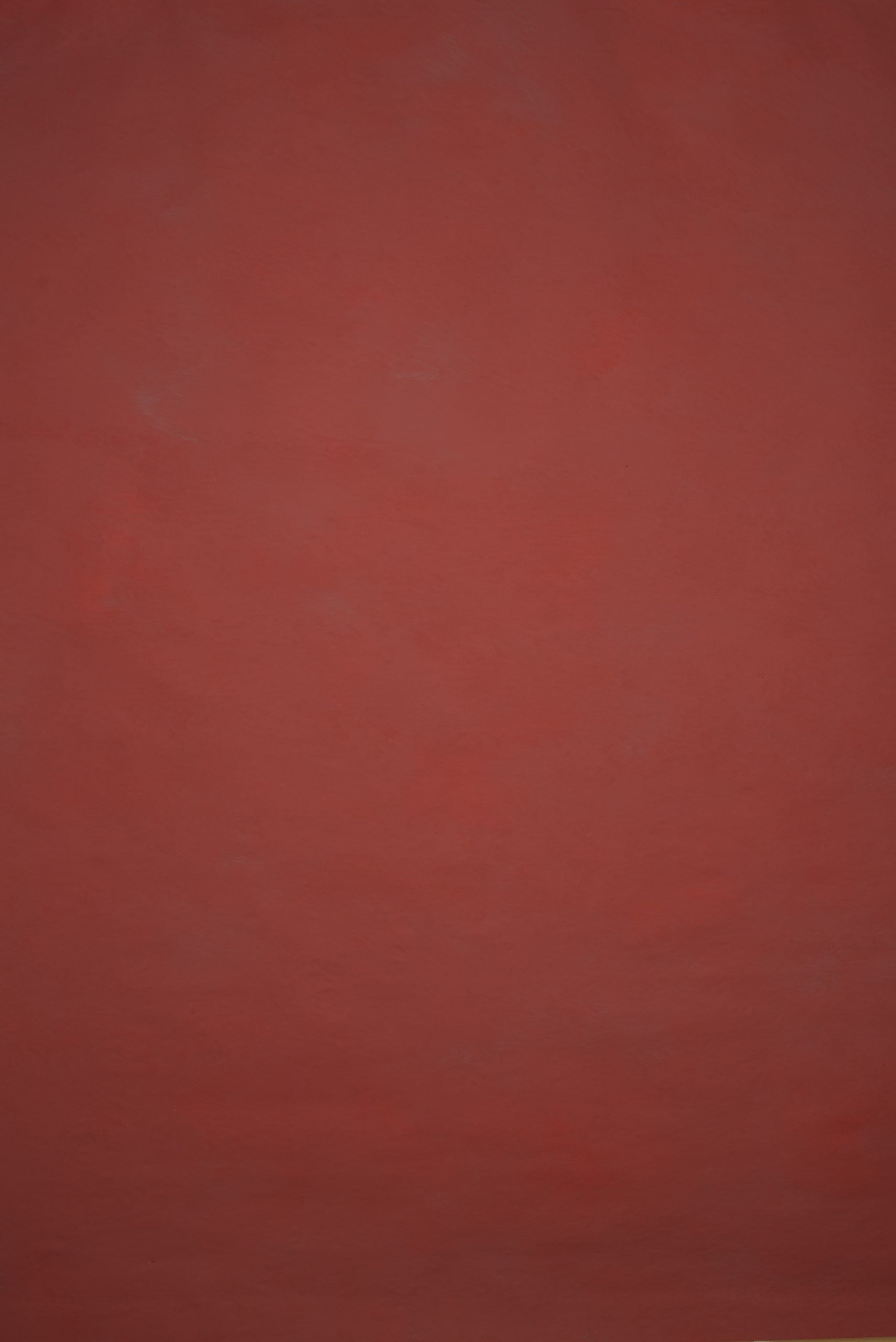 12819 Red Low Text L
