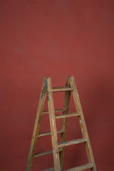 12819 Red Low Text L