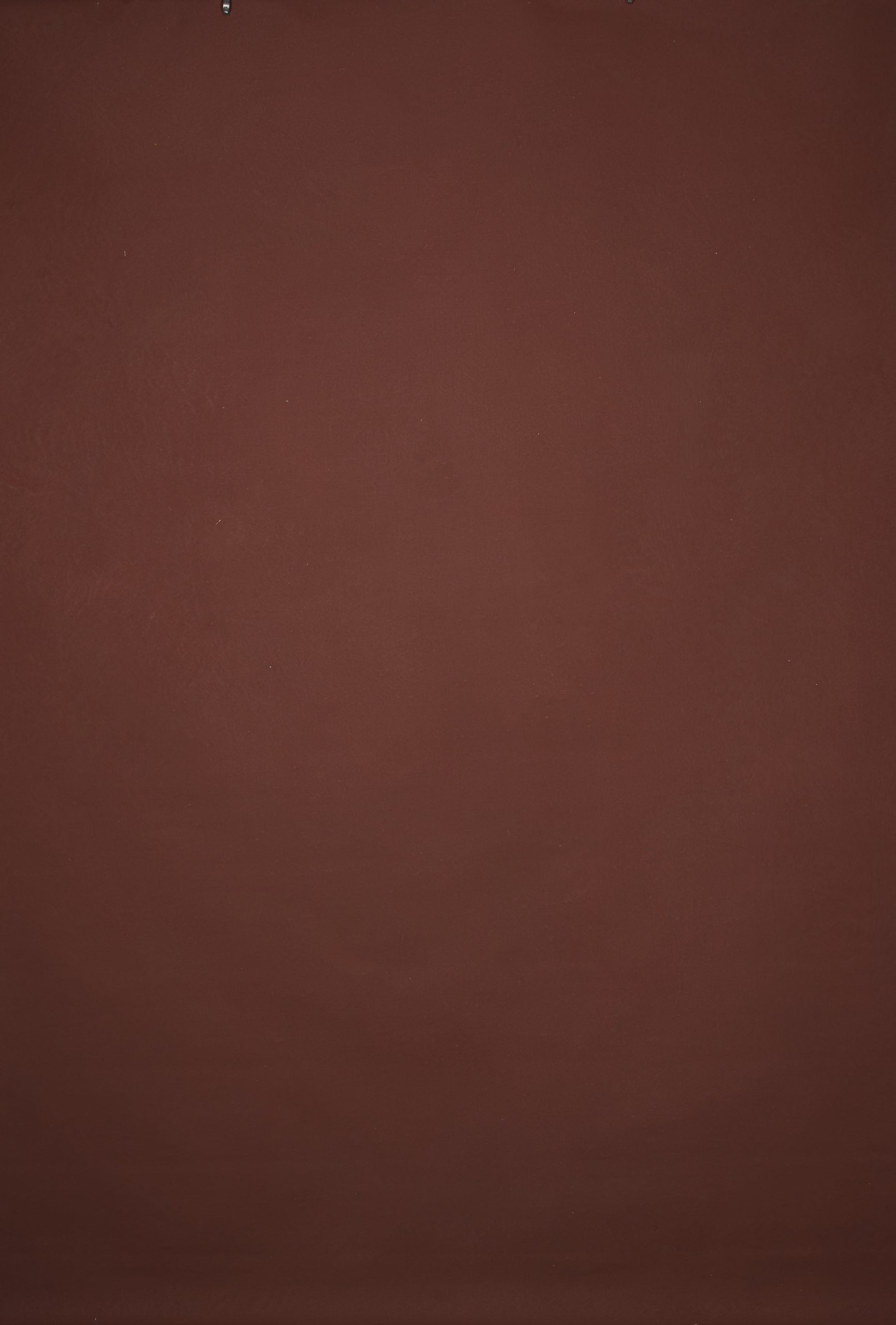 12832 Red Distressed Text L