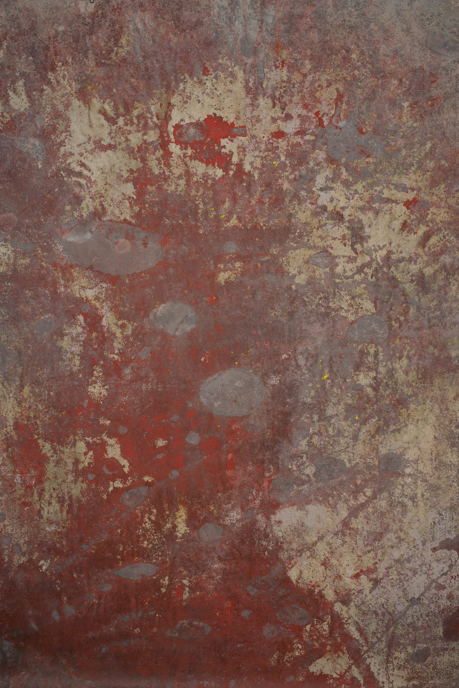 12835 Red Grey Strong Text L