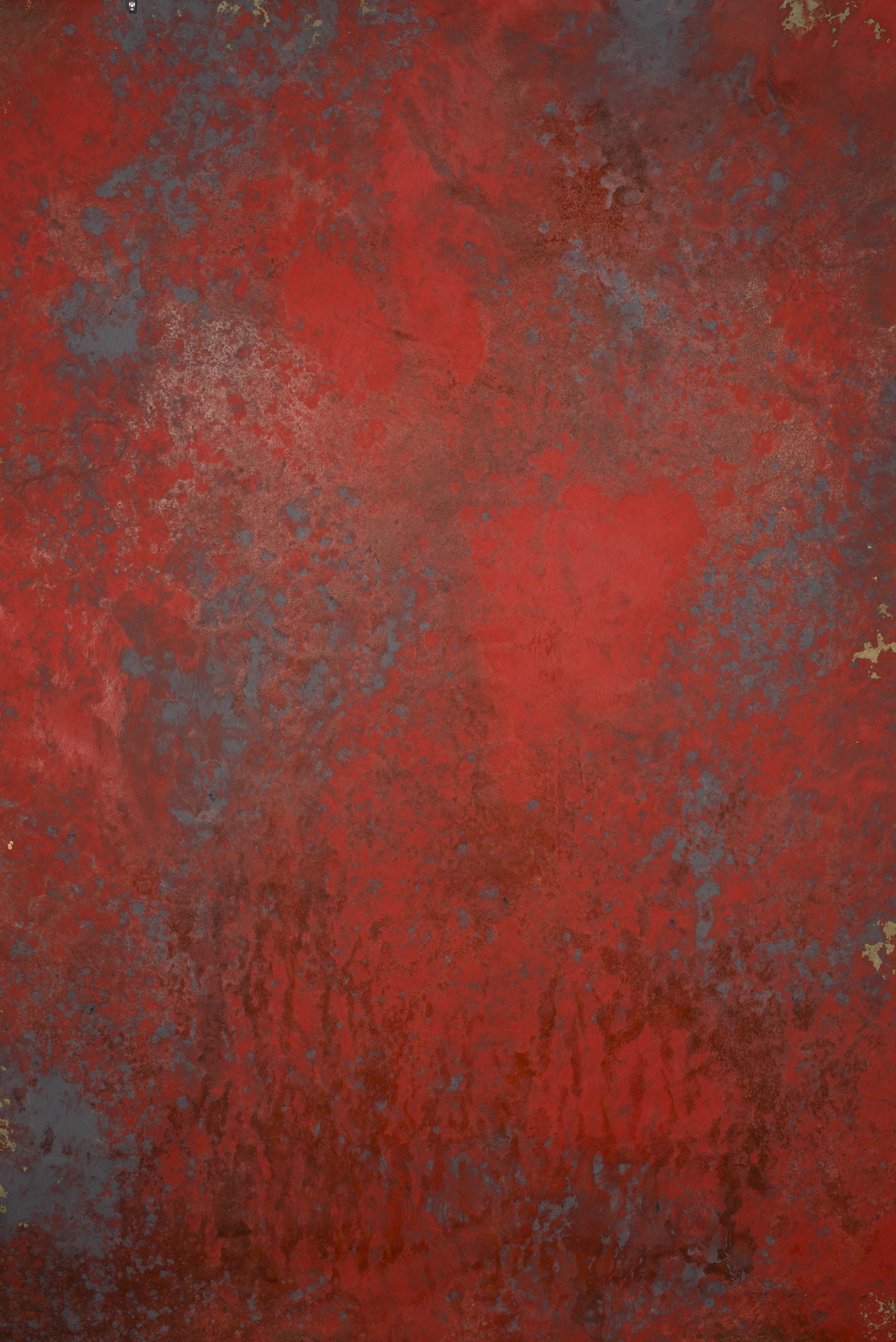 12837 Red Grey Strong Text L
