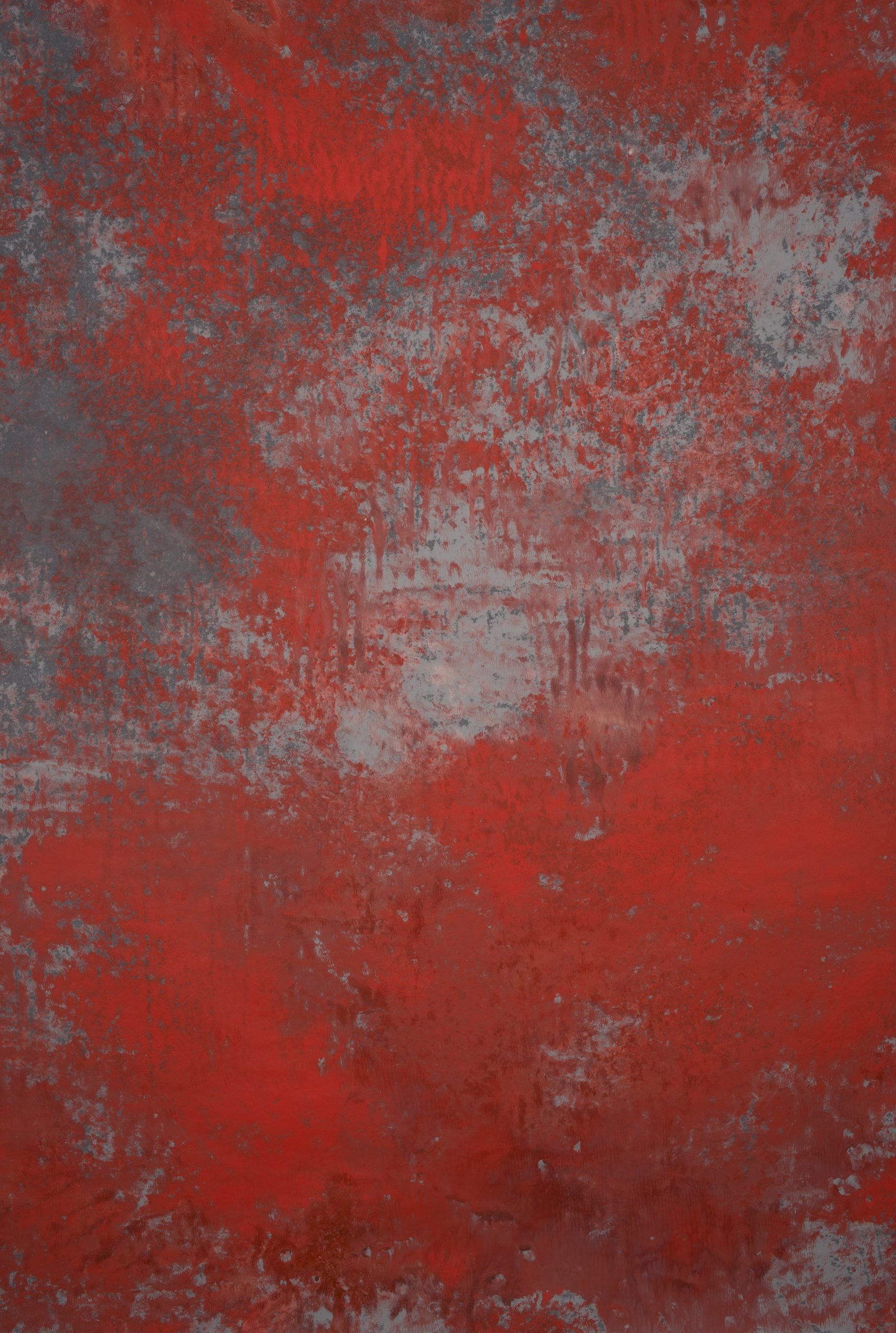 12842 Red Grey Strong Text L