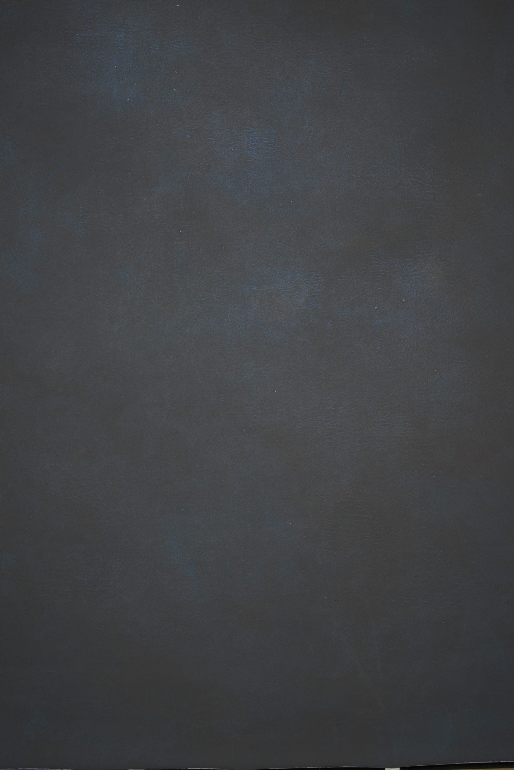12852 Blue Brown Distressed Text L