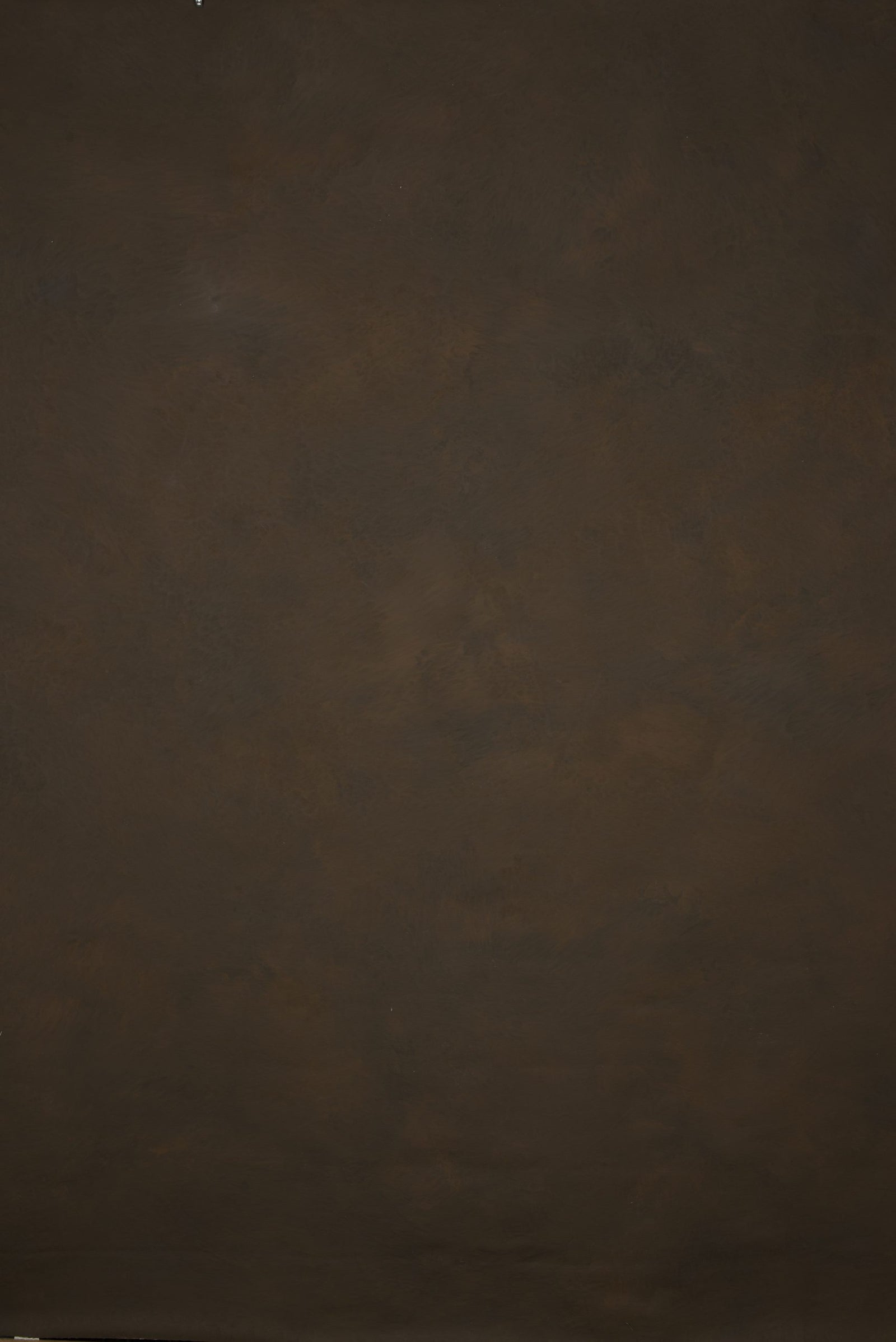 12871 Brown Mid Text M