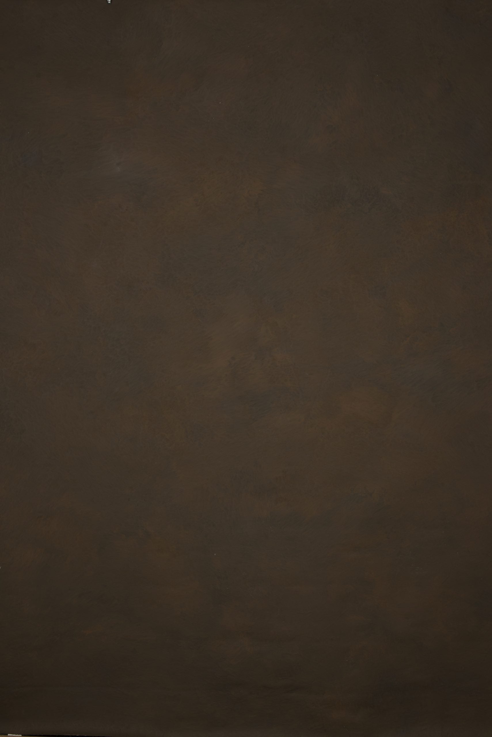 12871 Brown Mid Text M