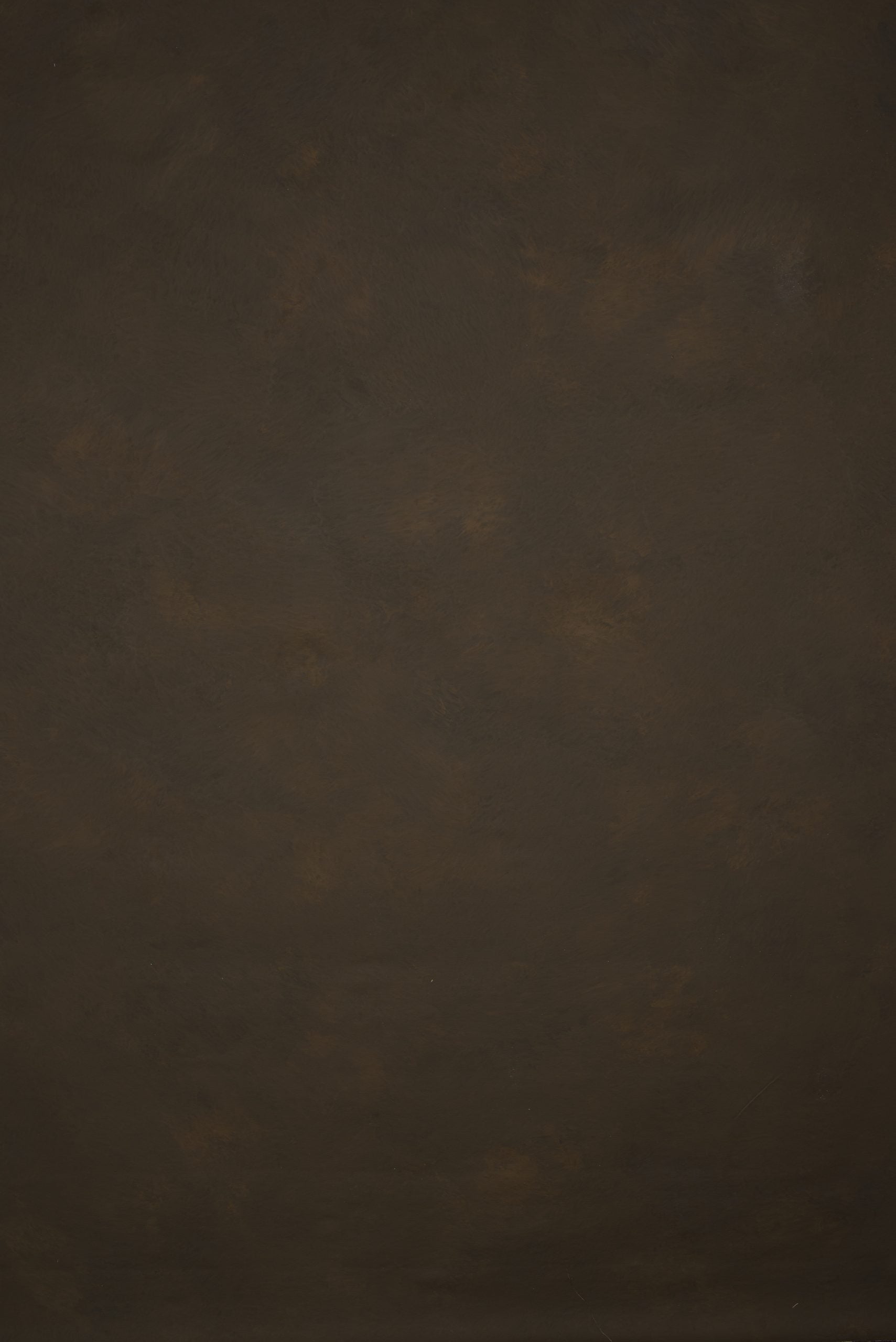 12872 Brown Mid Text M