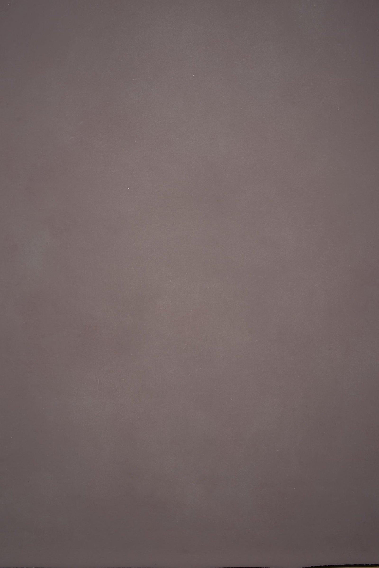 12875 Violet Distressed Text M