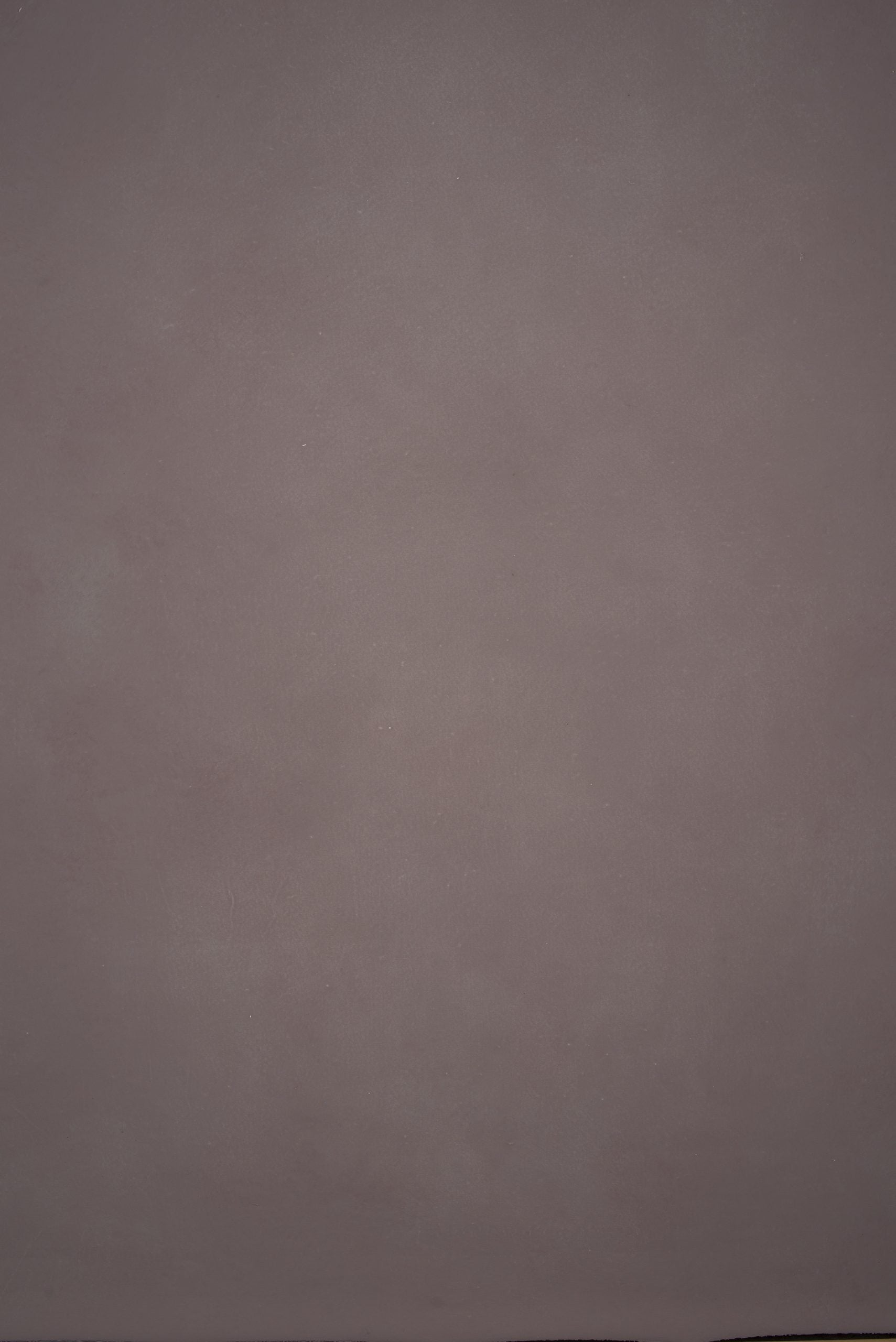 12875 Violet Distressed Text M
