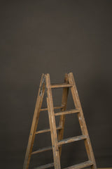 12877 Brown Distressed Text M