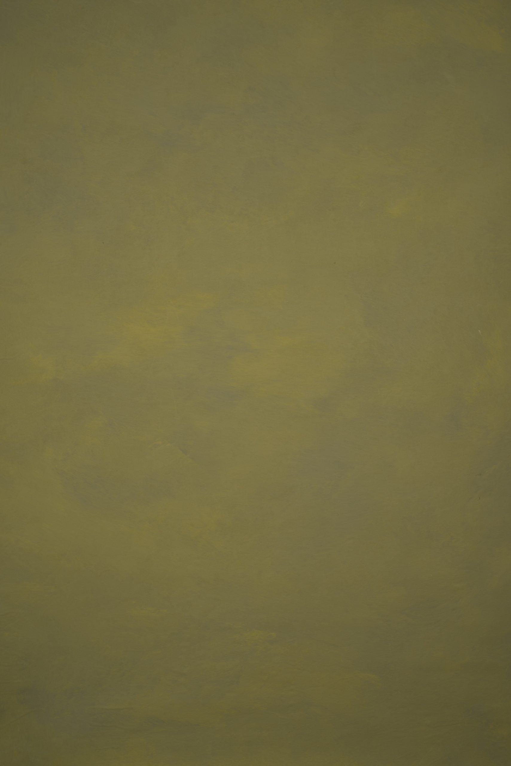 12881 Green Low Text M