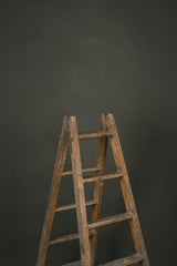 12894 Green Grey Distressed Text M