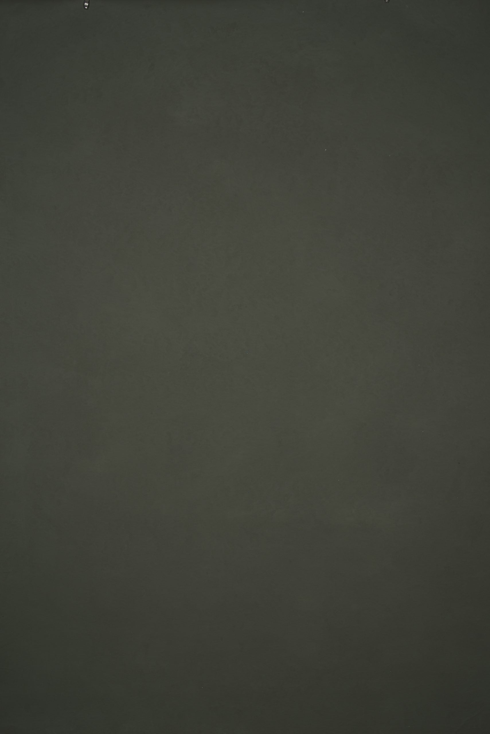12897 Olive Green Low Text M