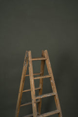 12897 Olive Green Low Text M