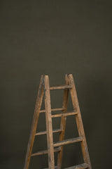 12898 Olive Green Low text M