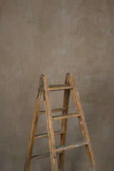 12911 Beige Mid Text M
